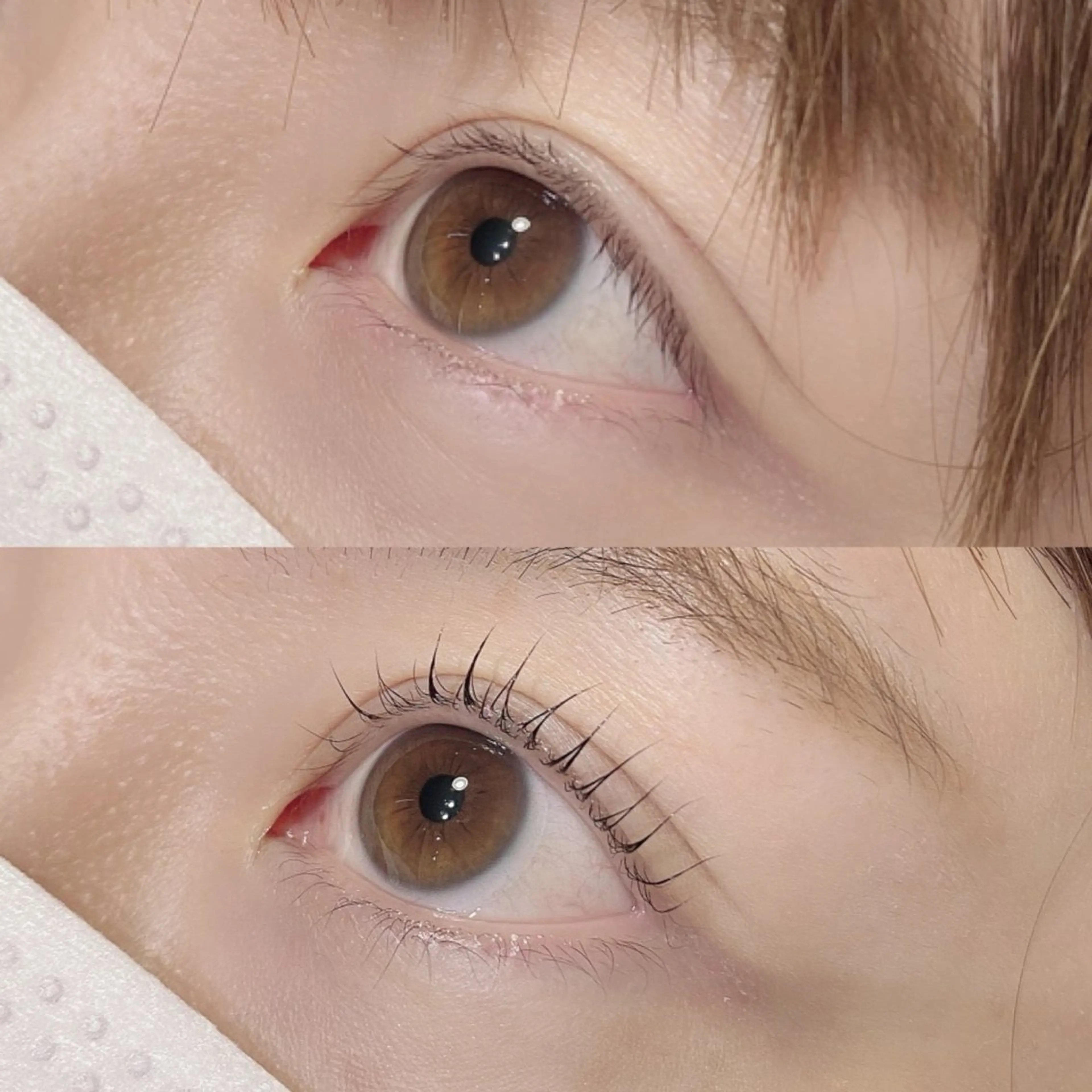 マツエク・マツパ アイリスト モエナのマツエク・マツパデザイン