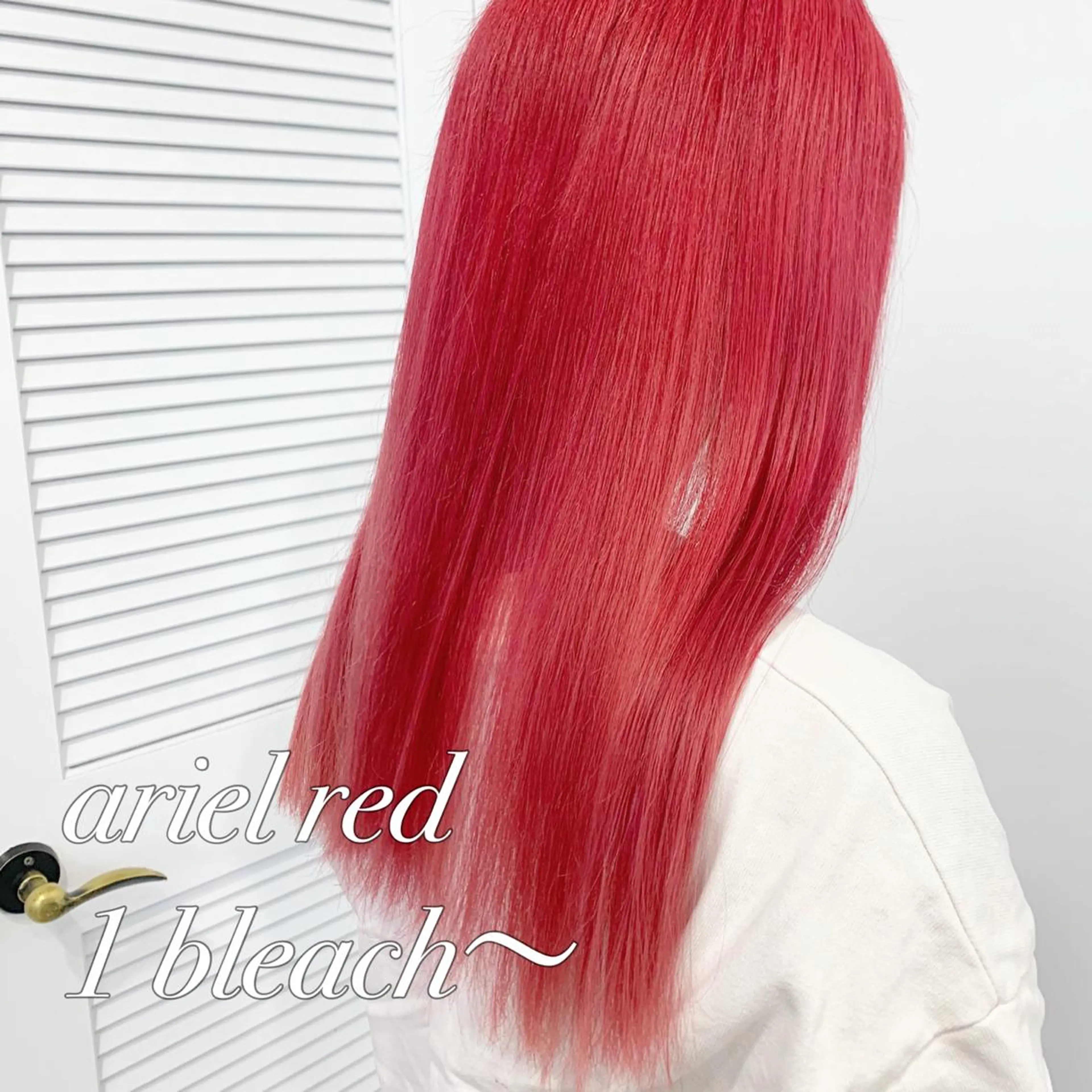 ロング カラー ヘアアレンジ レッドカラー 🍒暖色✖️レイヤー ／Haruna🍒のヘアスタイル