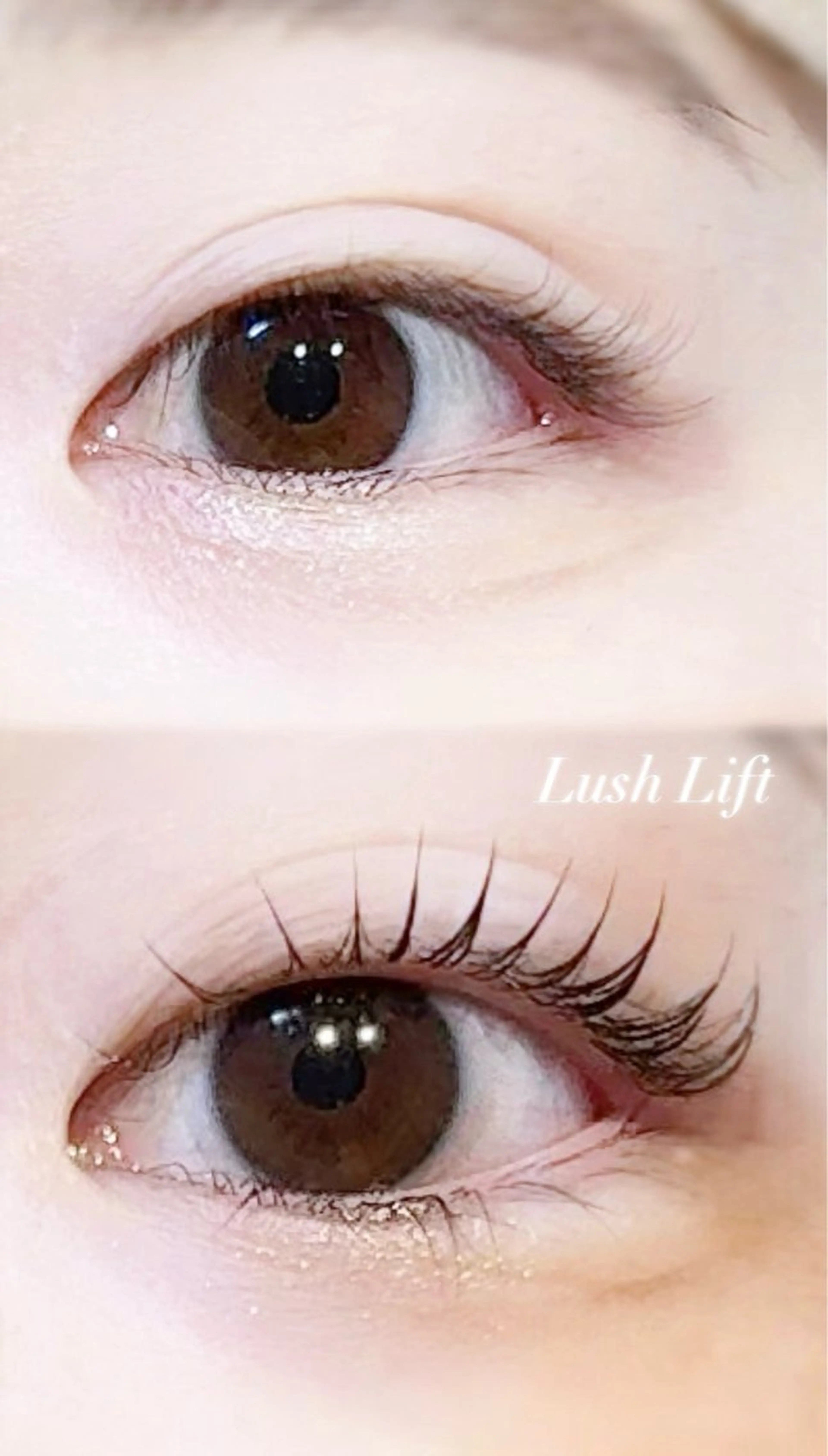 マツエク・マツパ マツパ ELRe MIUのマツエク・マツパデザイン