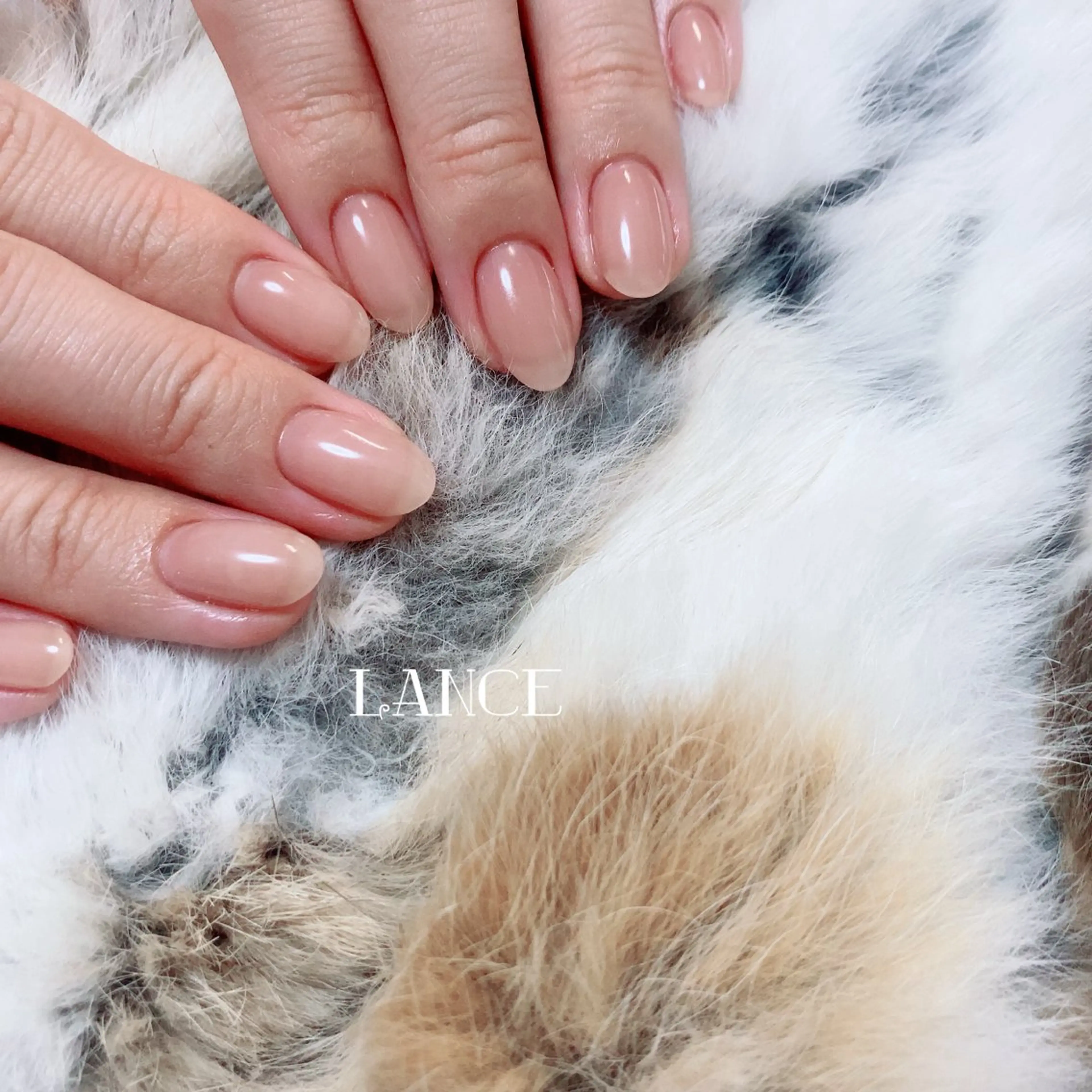 ネイル オーロラネイル フレンチネイル グラデーション キラキラネイル 韓国ネイル Lance nailのネイルデザイン