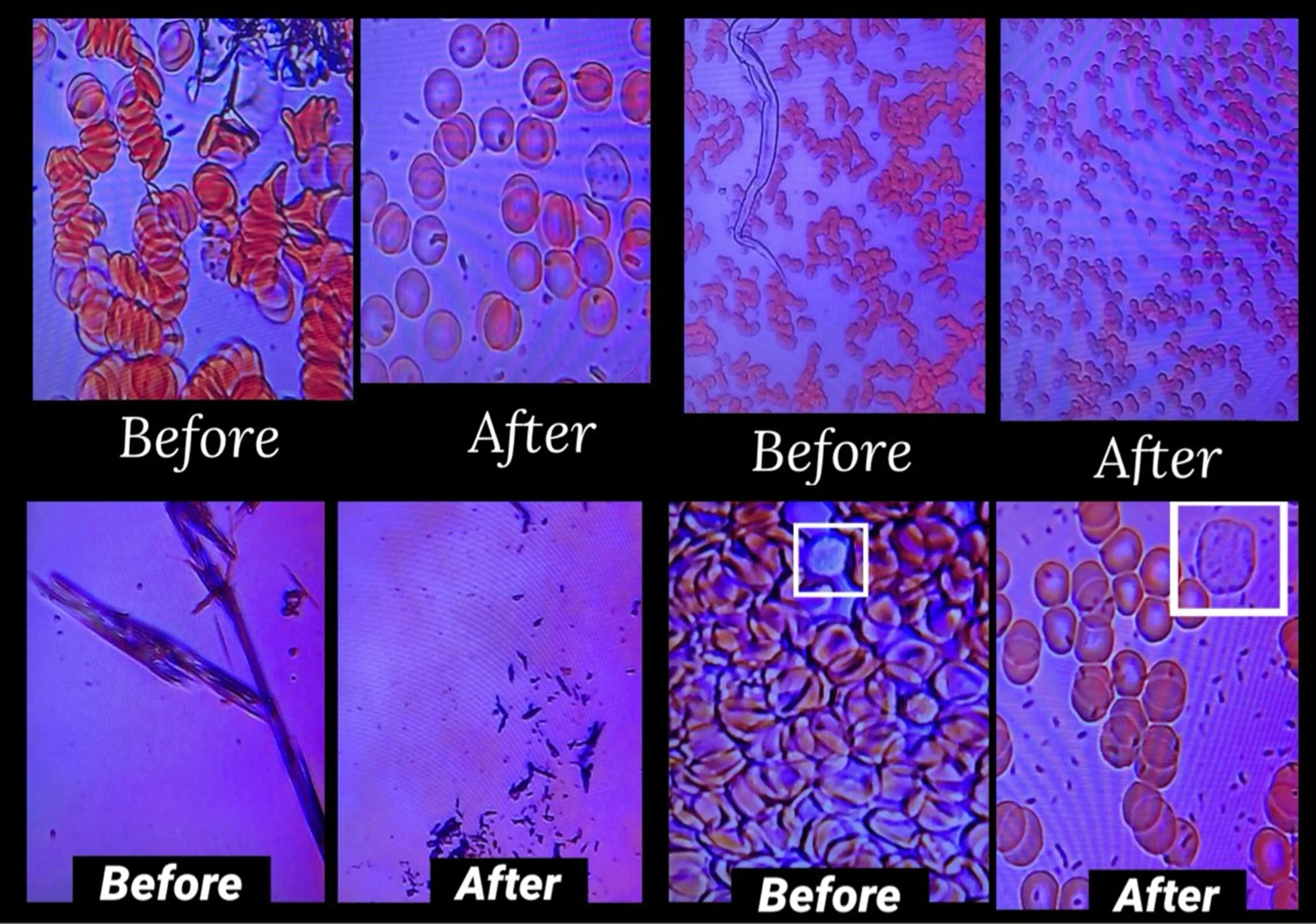 出張リラク/ペット 空 -sora-のエステ・リラクイメージ