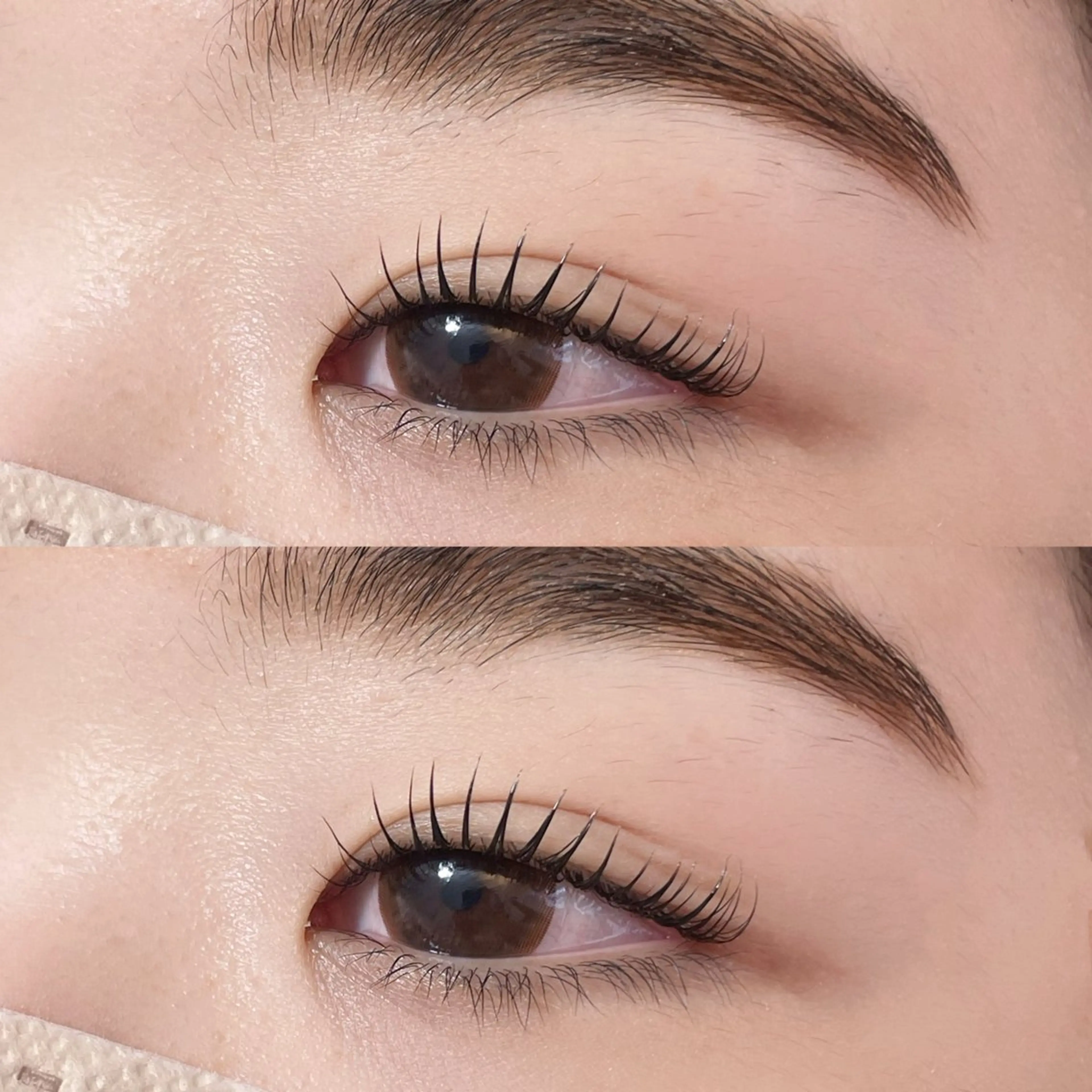 まつげパーマ【束感仕上げ】🪽🫧の写真