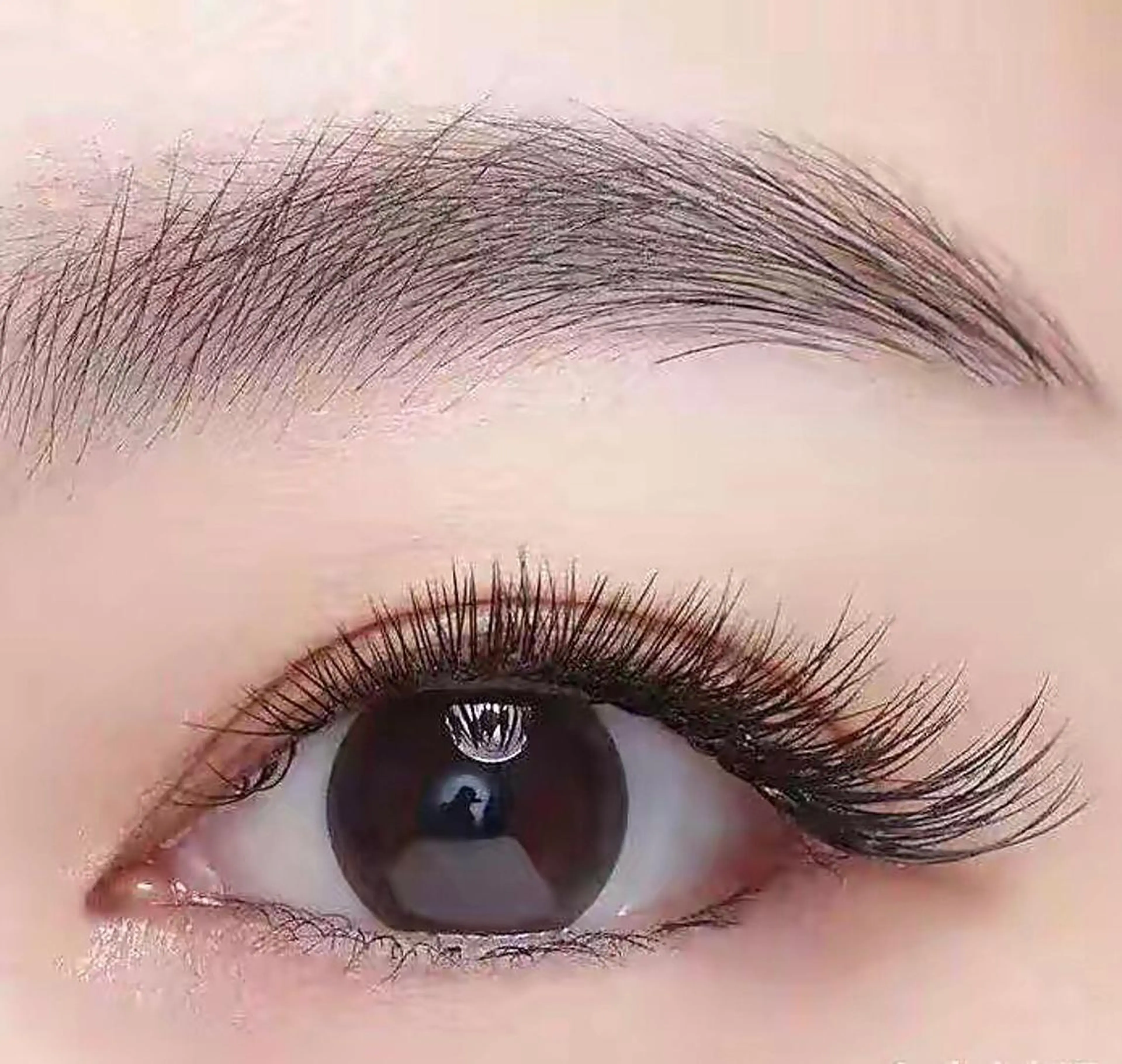 フラットラッシュ140本の写真