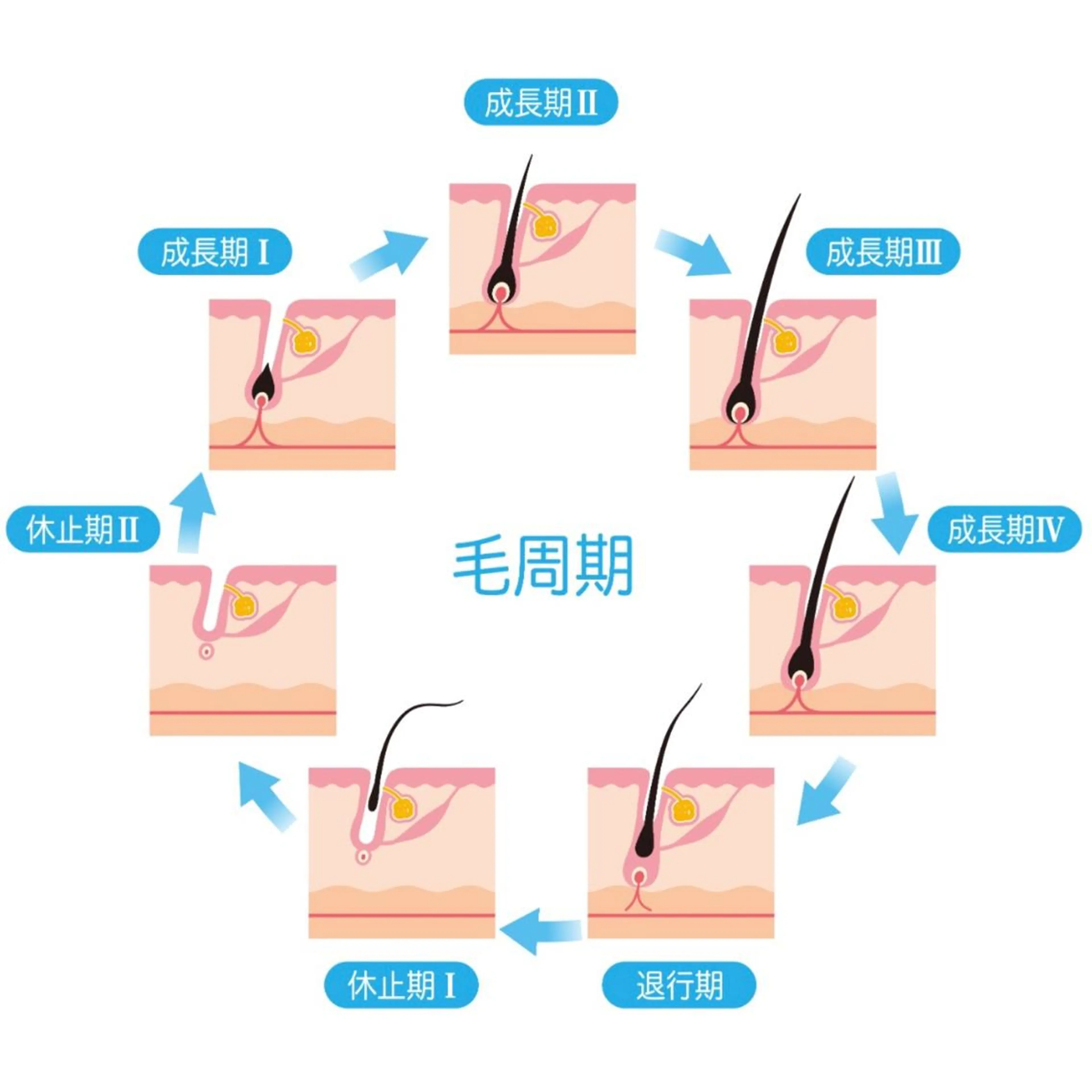 Knine 心斎橋店のエステ・リラクイメージ
