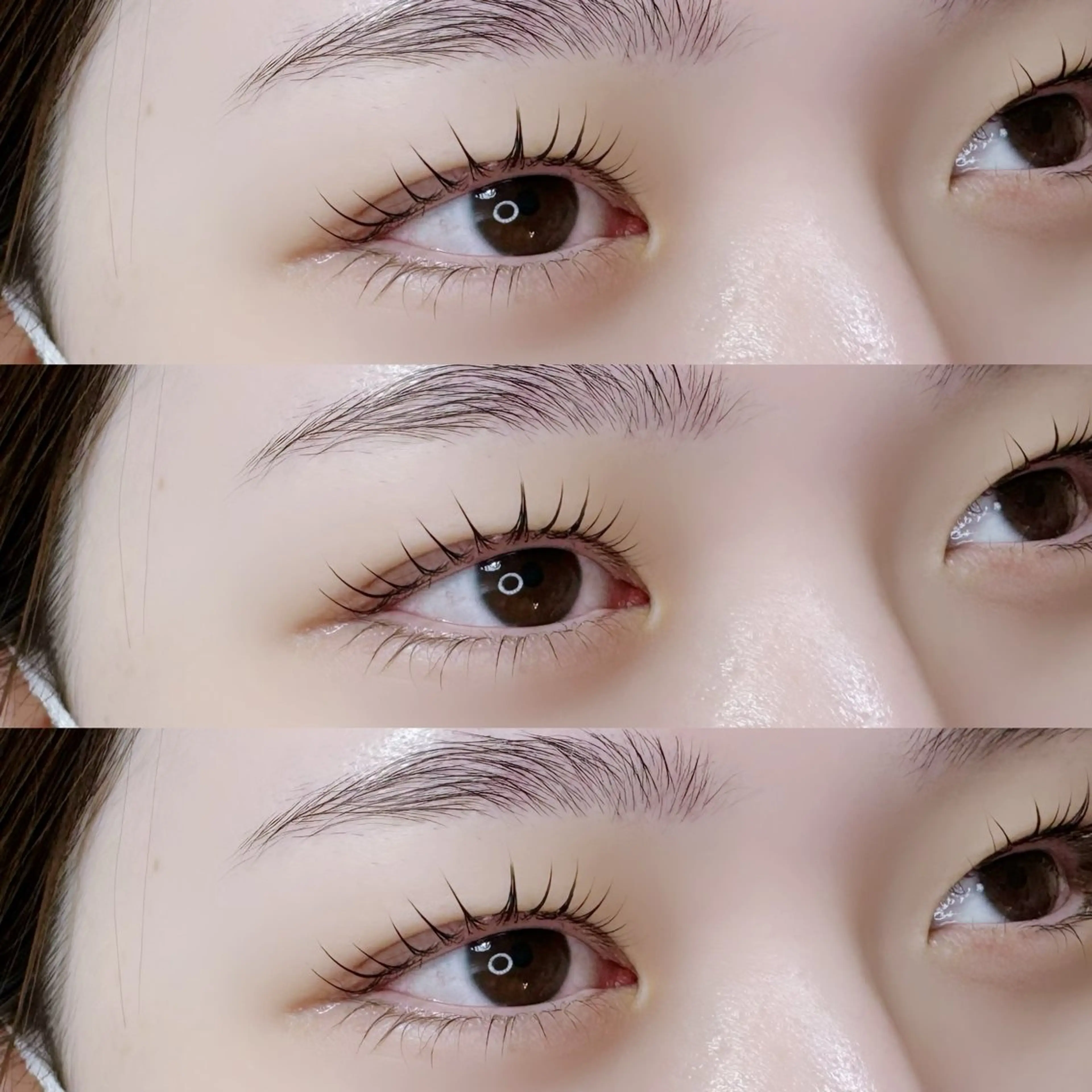 マツエク・マツパ マツパ Carat所属・Carat　南柏店 岸本のマツエク・マツパデザイン