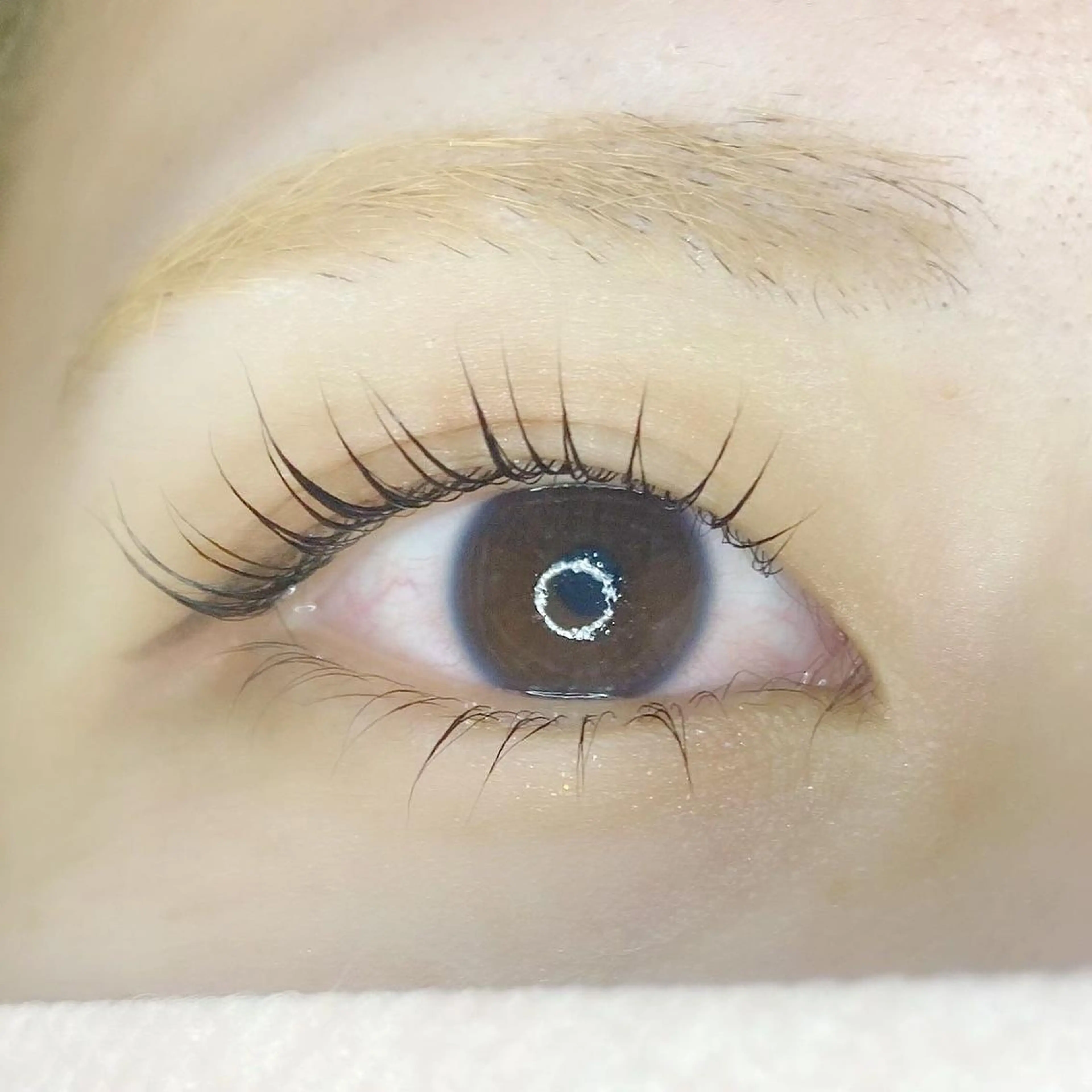 マツエク・マツパ パリジェンヌラッシュリフト まつげパーマ 下まつげエクステ KURUMI🦋 まつエクまつパ美眉のマツエク・マツパデザイン