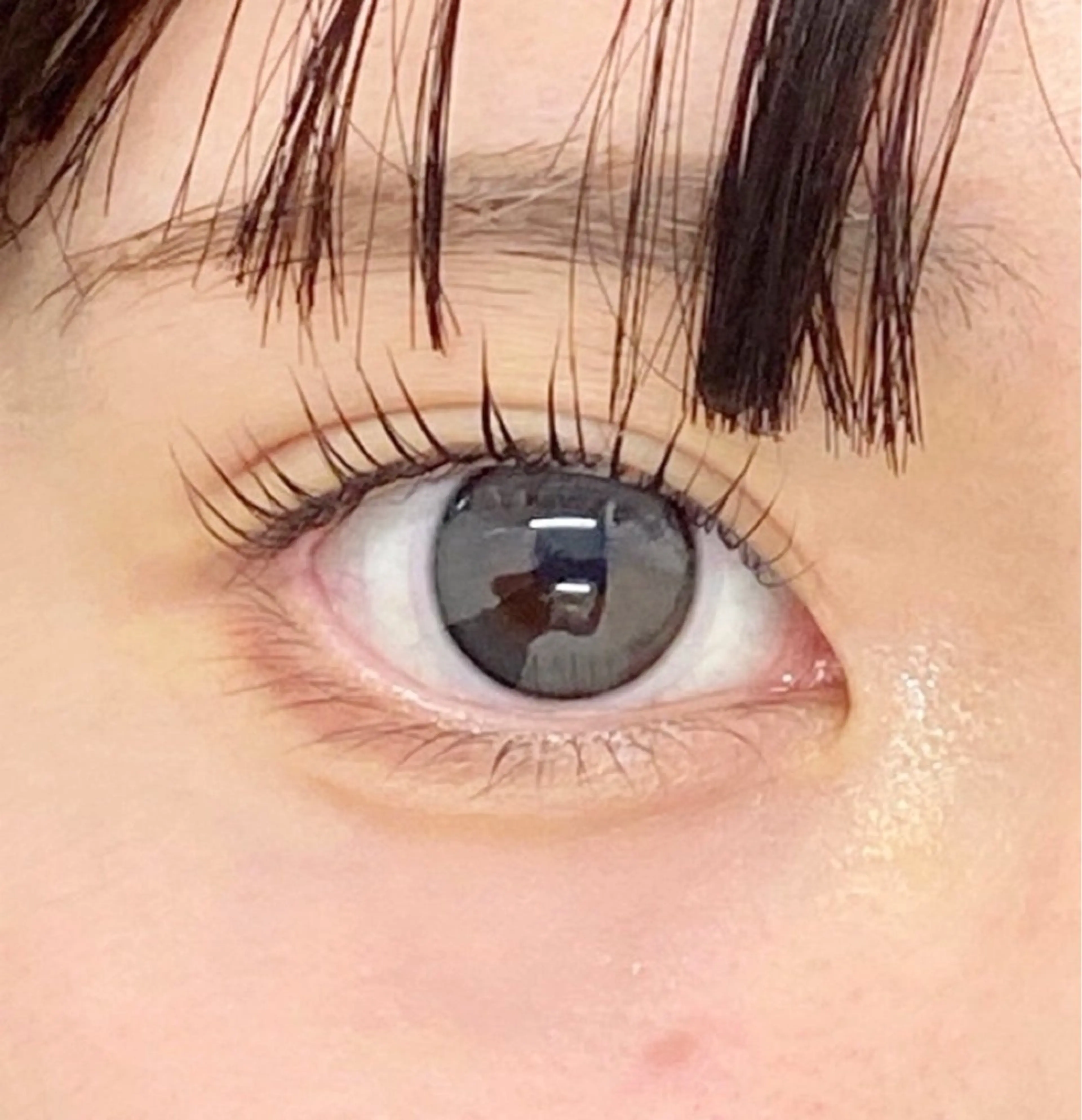 [初回限定]ビューラー式まつげパーマ+育毛剤配合美容トリートメント付きの写真