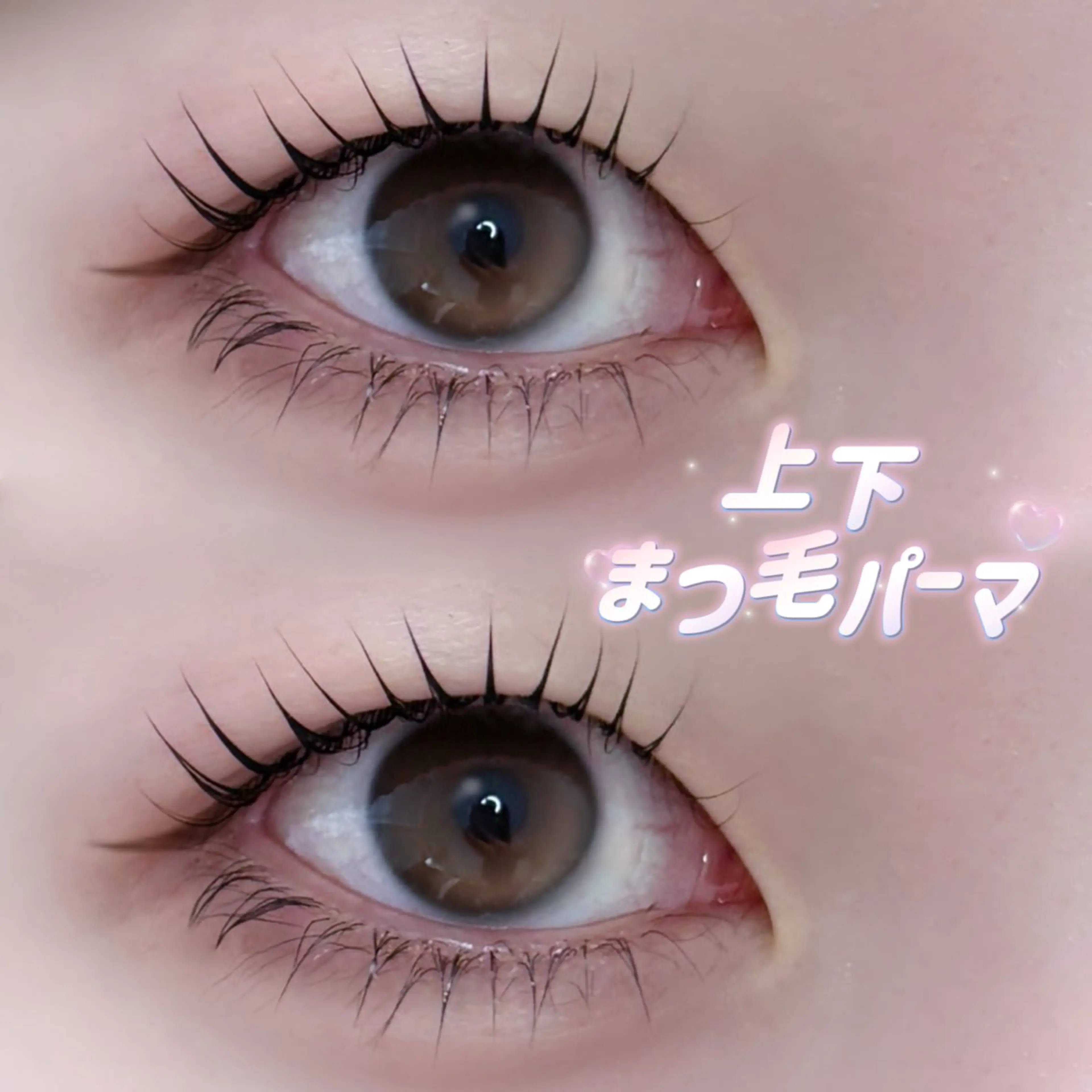 マツエク・マツパ バインドロック パリジェンヌラッシュリフト 一重×まつ毛パーマ マツパ Purely- Purelyのマツエク・マツパデザイン