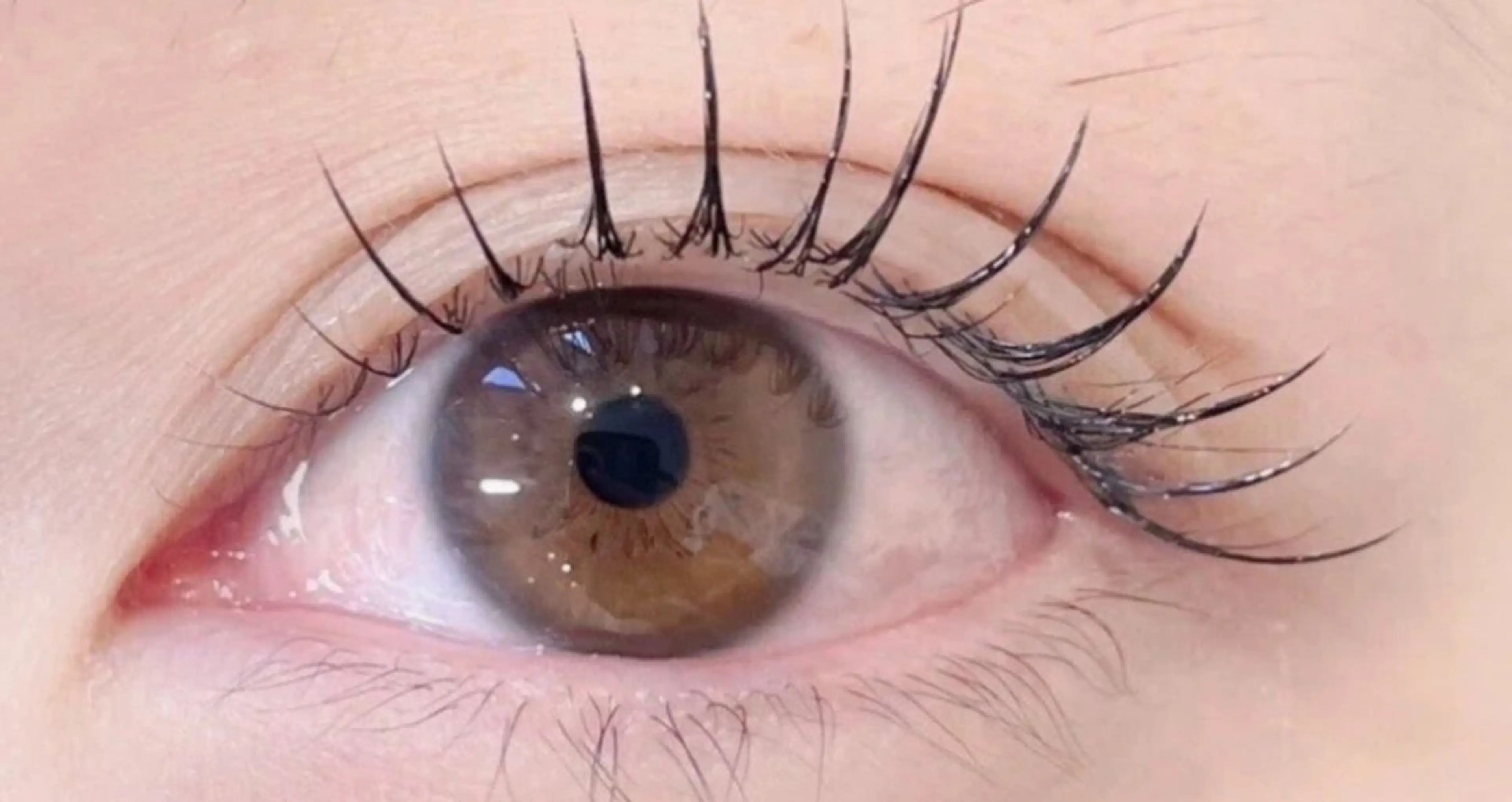 マツエク・マツパ マツエク ベビー エンジェルのエステ・リラクイメージ