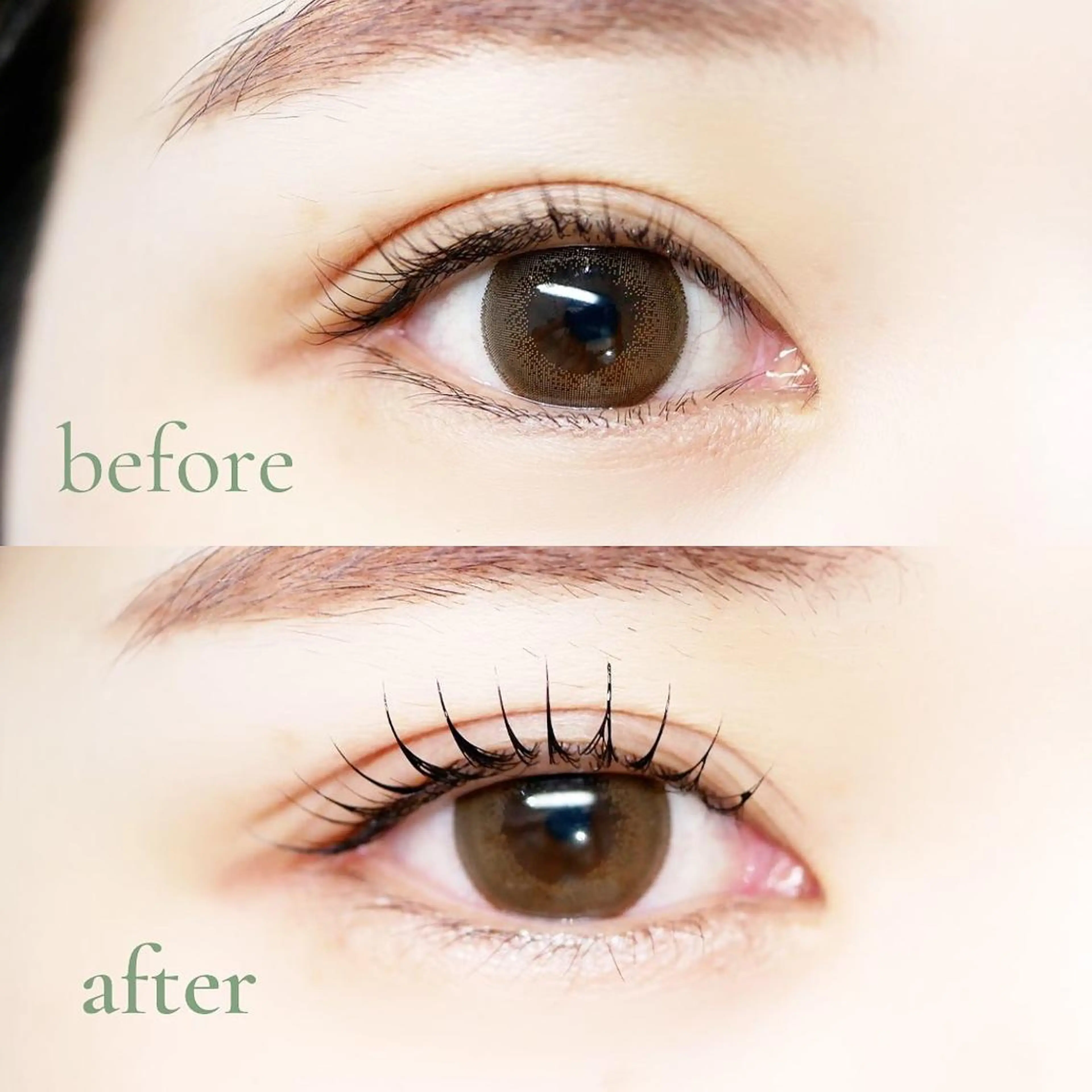 マツエク・マツパ asuka 𖥸 アイブロウ🦊🤎の眉毛・アイブロウイメージ