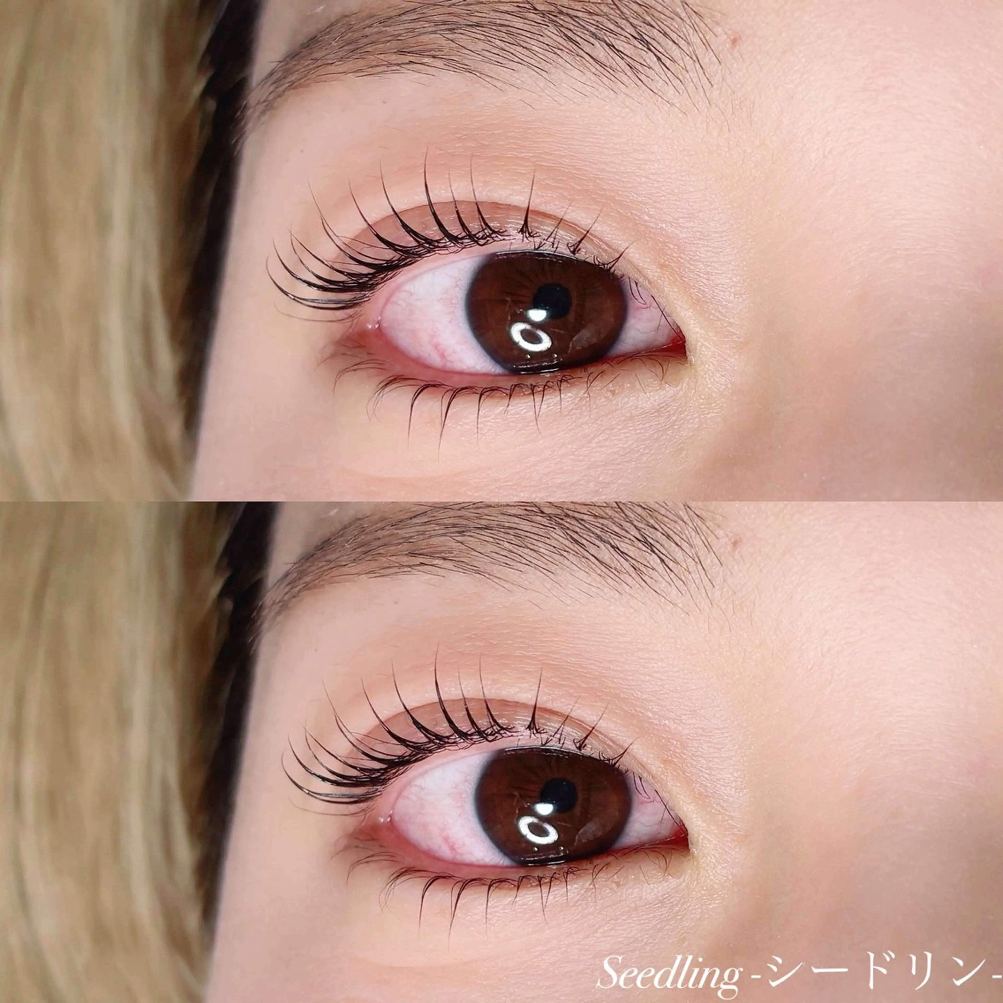 マツエク・マツパ まつげパーマ 下まつげエクステ シードリン 府内店 小野梨央のマツエク・マツパデザイン