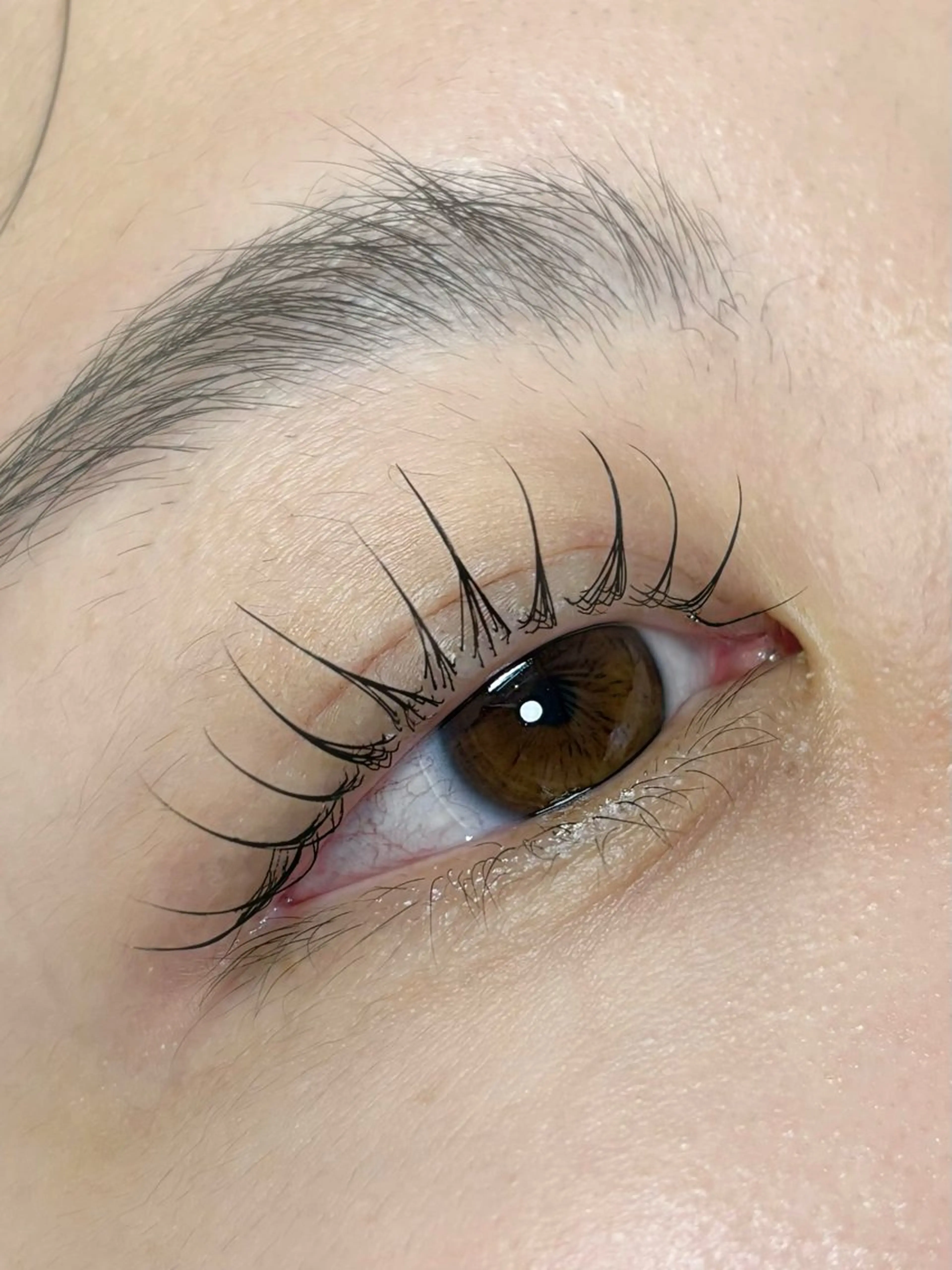 マツエク・マツパ マツパ 垢抜け眉WAX専門 ちゅるんまつげ|鎌倉の眉毛・アイブロウイメージ