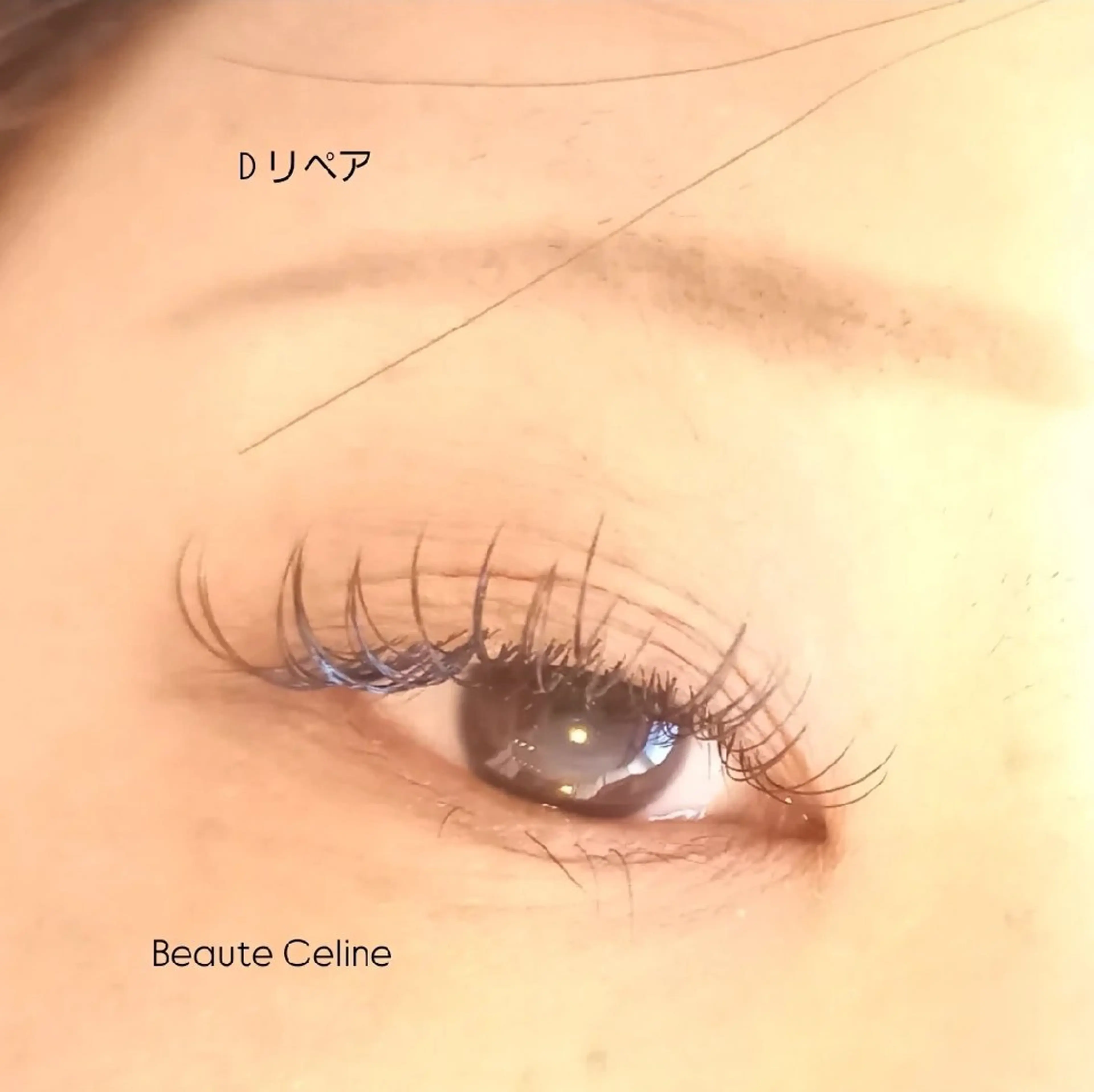 マツエク・マツパ マツエク 8時~✨beaute Celine🌛🌹のマツエク・マツパデザイン