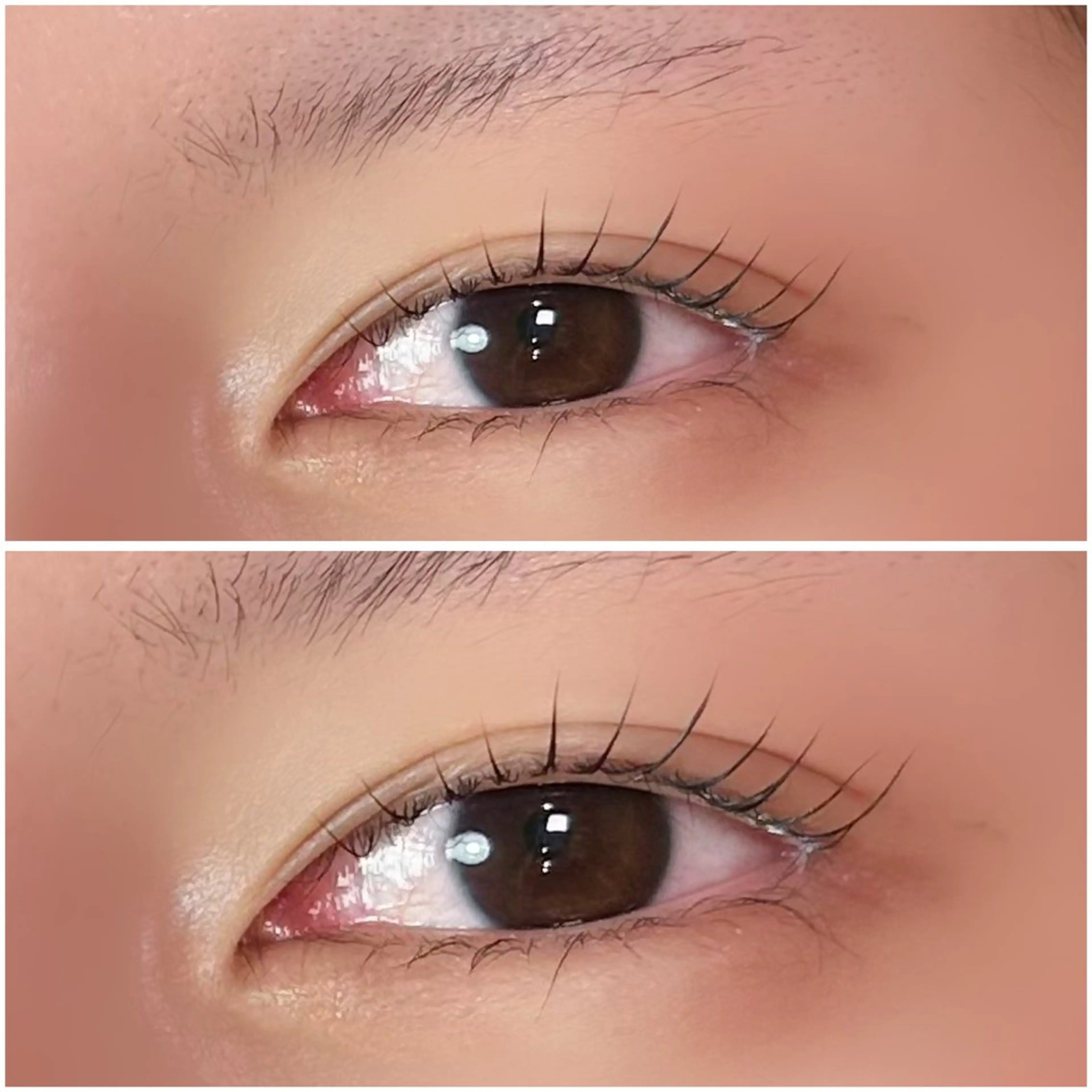 マツエク・マツパ マツパ öffen キムラの眉毛・アイブロウイメージ