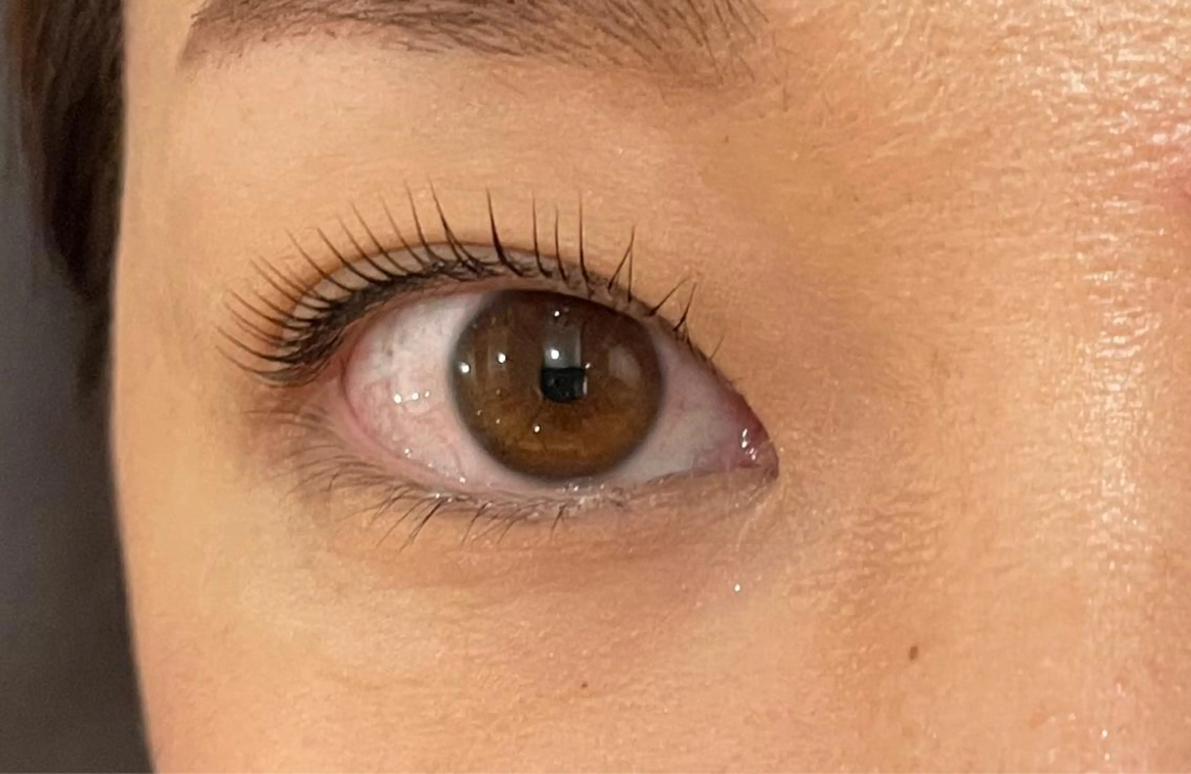 マツエク・マツパ マツパ マリーテレジア 🌻RUKAのマツエク・マツパデザイン