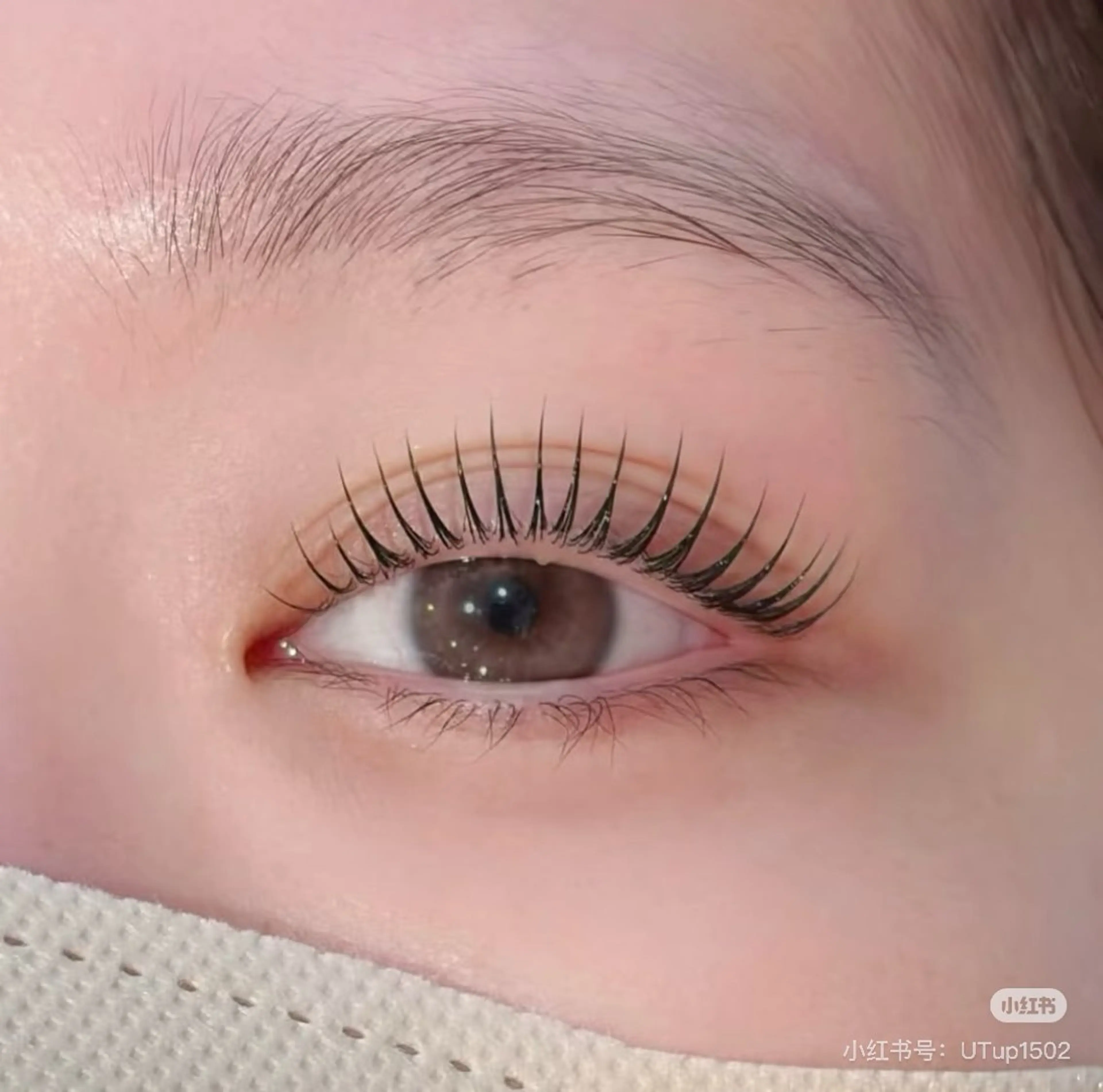 🫧⛄️人気No.1🌈パリジェンヌラッシュリフト上　‼️美容液付き＆アイパック付き アイシャプ無料の写真