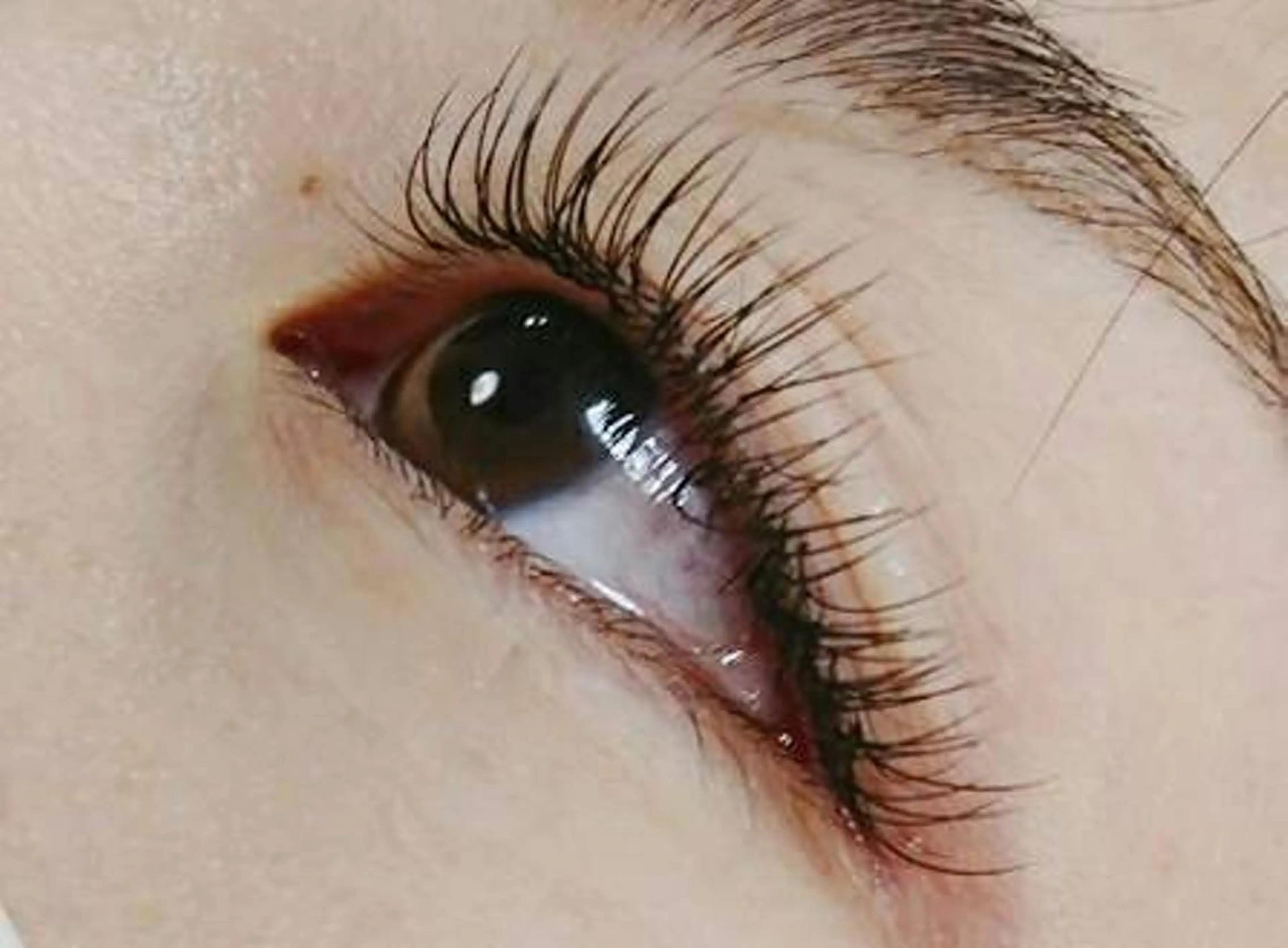 マツエク・マツパ キュート アネラ 北本店のマツエク・マツパデザイン