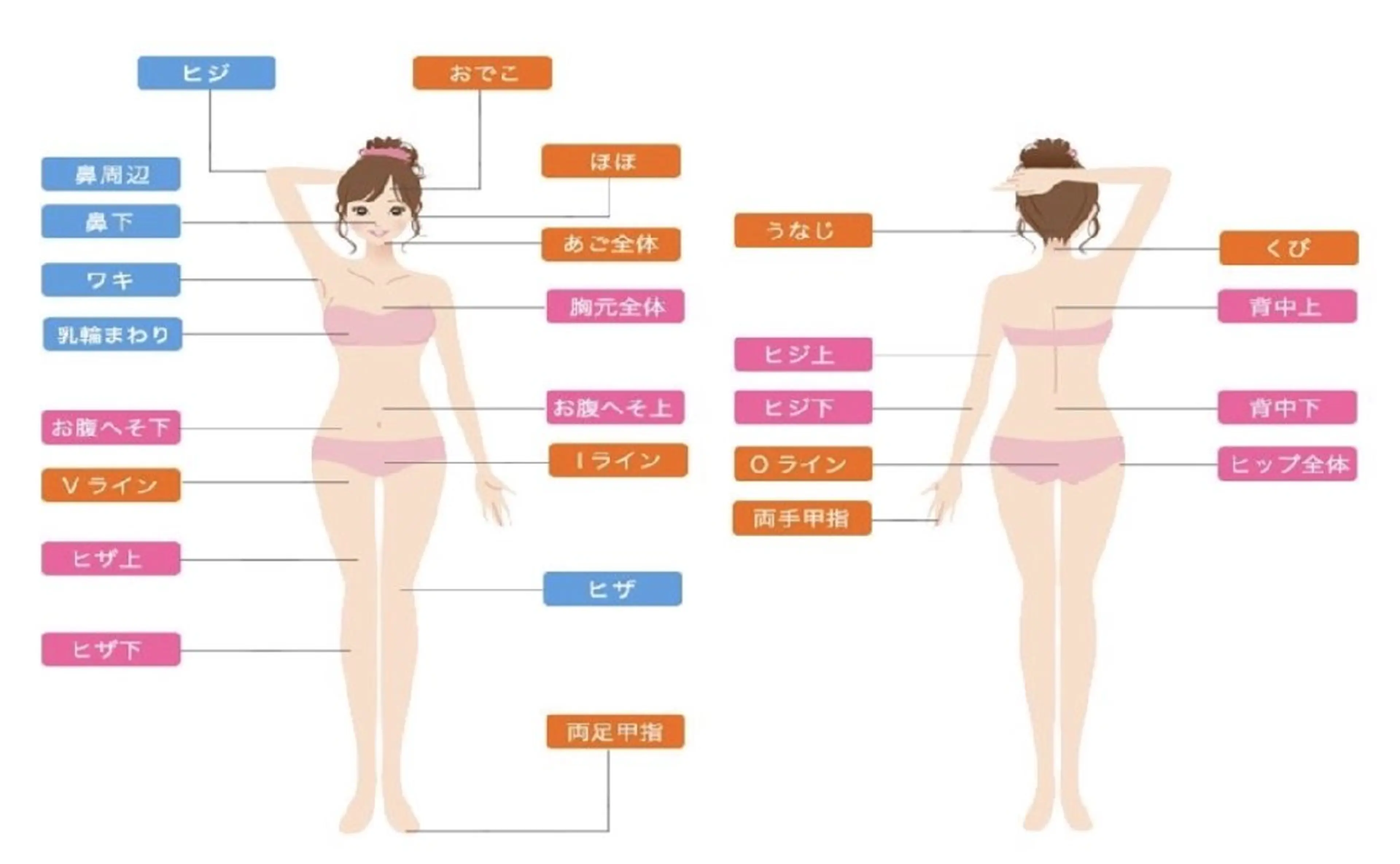 メルシー13所属・トータル美容サロン☆ 脱毛/小顔/毛穴洗浄のエステ・リラクイメージ