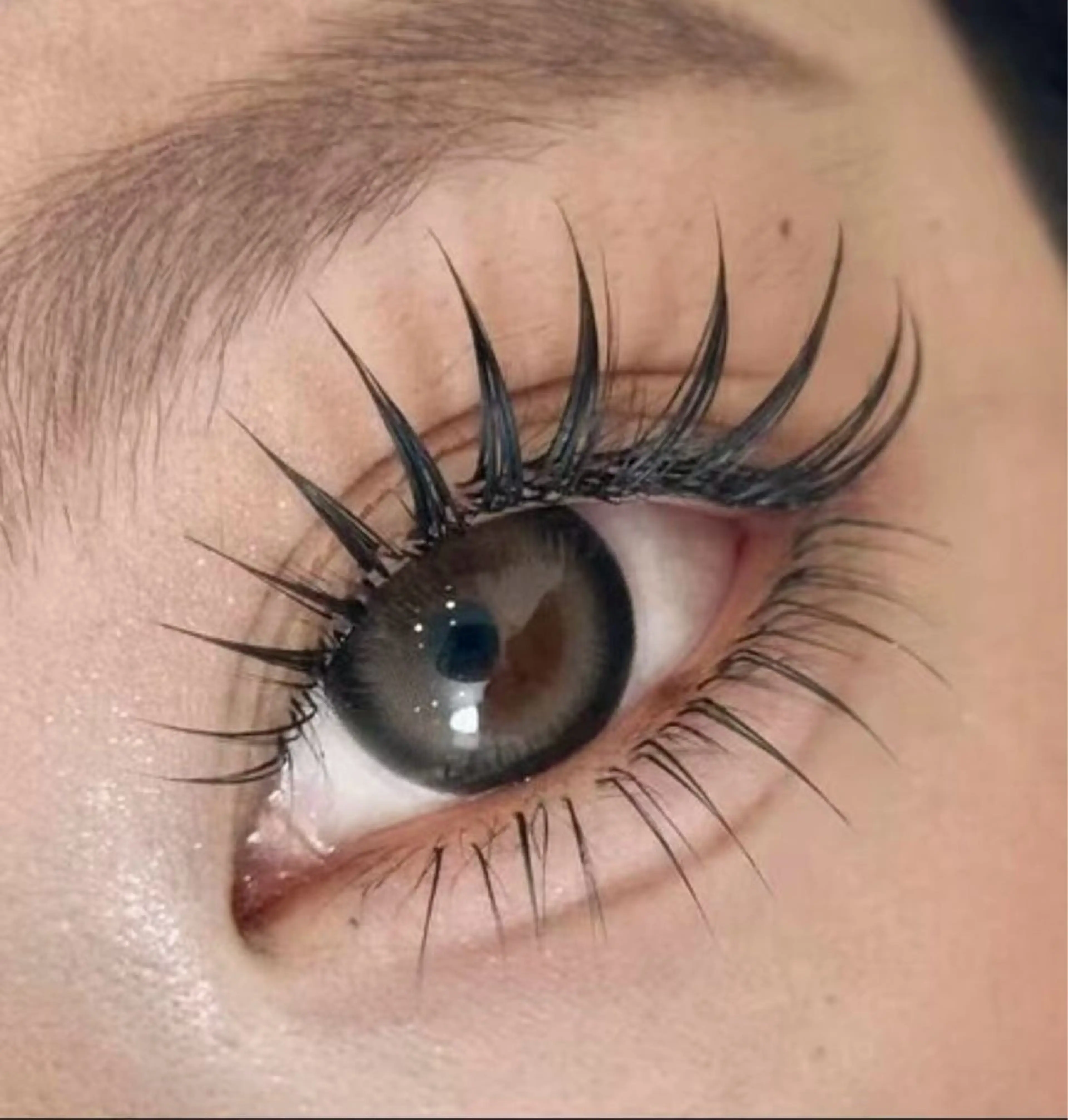 (マツエク)(LED限定無料)LCカール猫系バインドロック100束 コーティング付きの写真