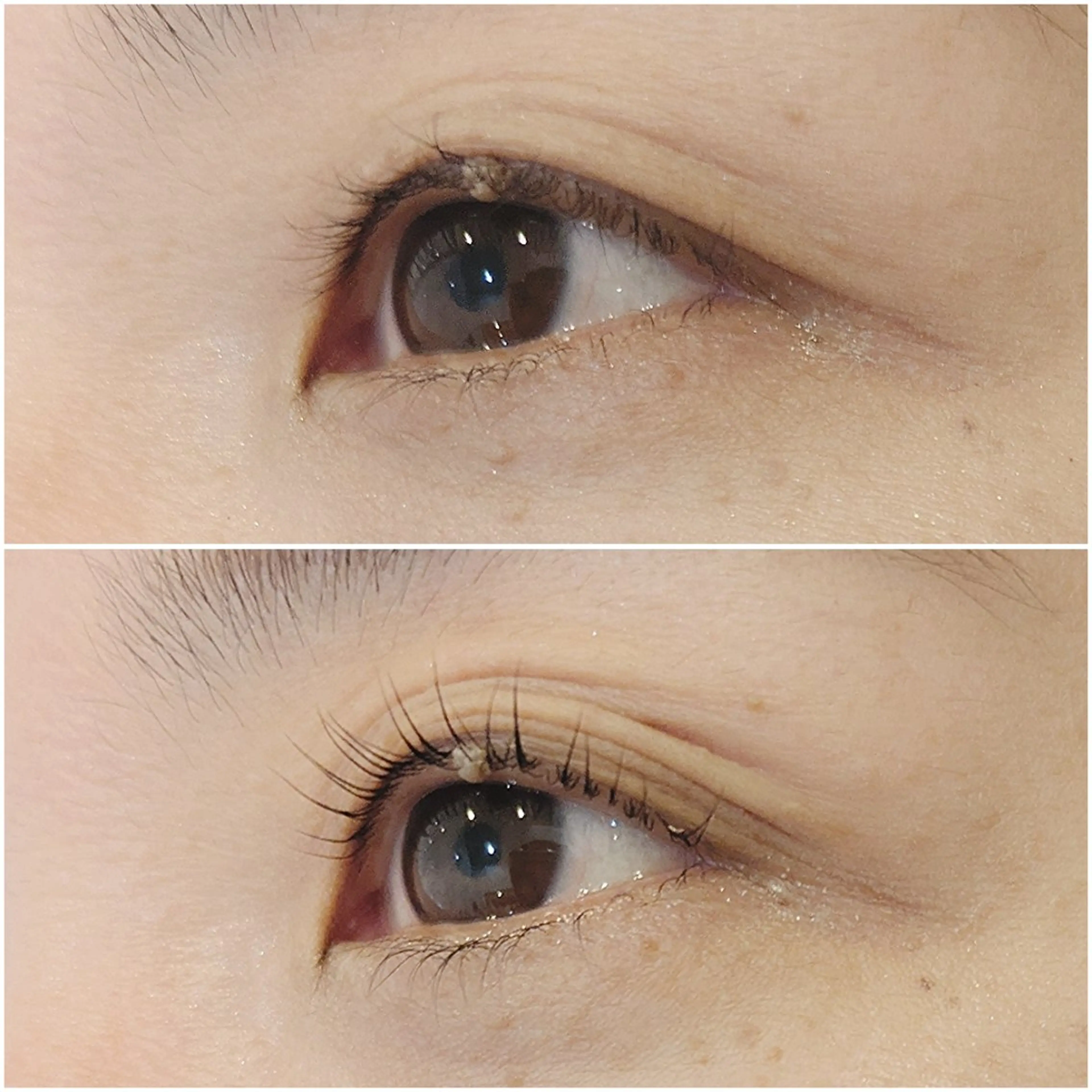 マツエク・マツパ 一重×まつ毛パーマ 【泉中央】CLASS 中村のマツエク・マツパデザイン