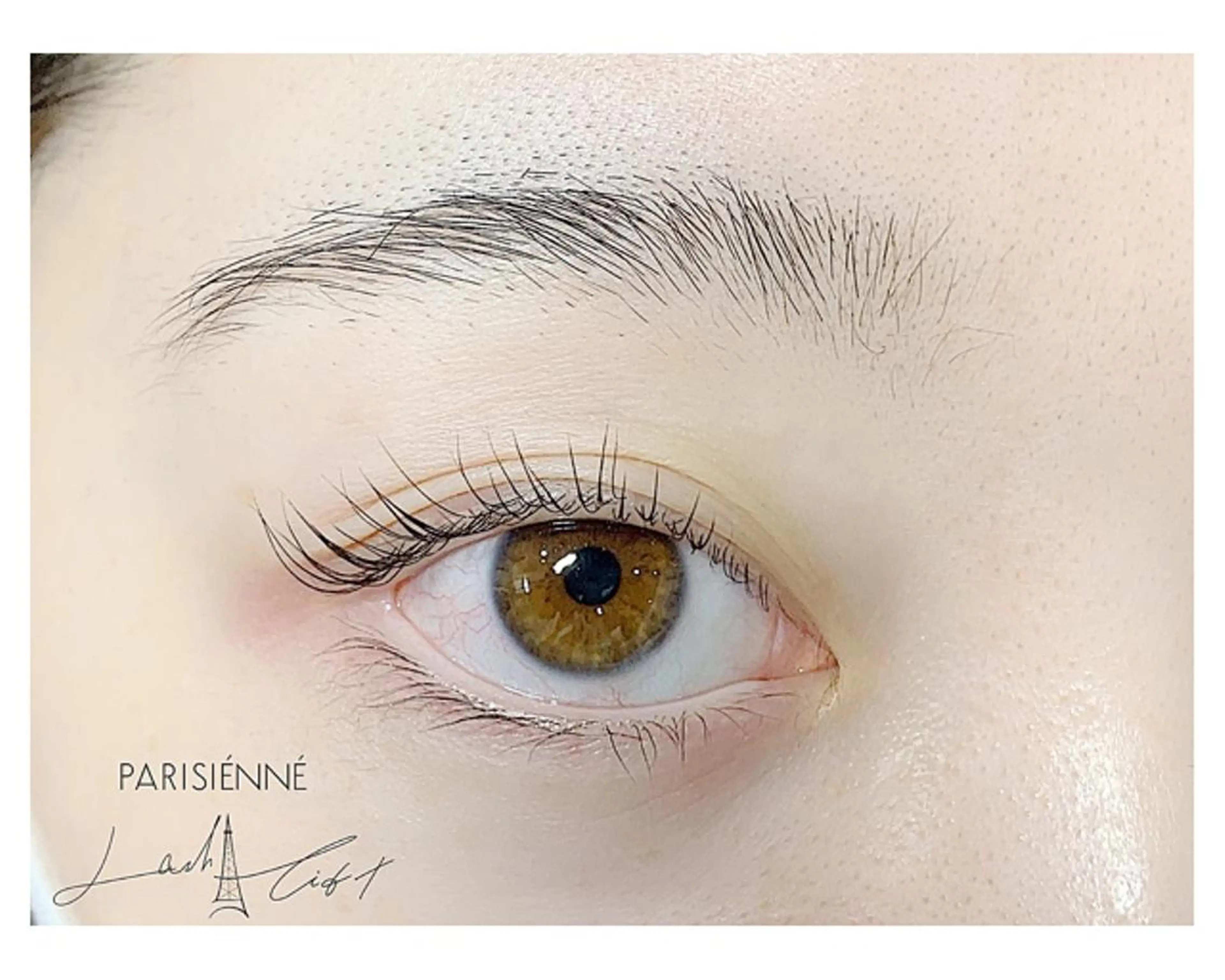 ｟ご新規様｠🫧パリジェンヌラッシュリフトorラッシュリフトの写真