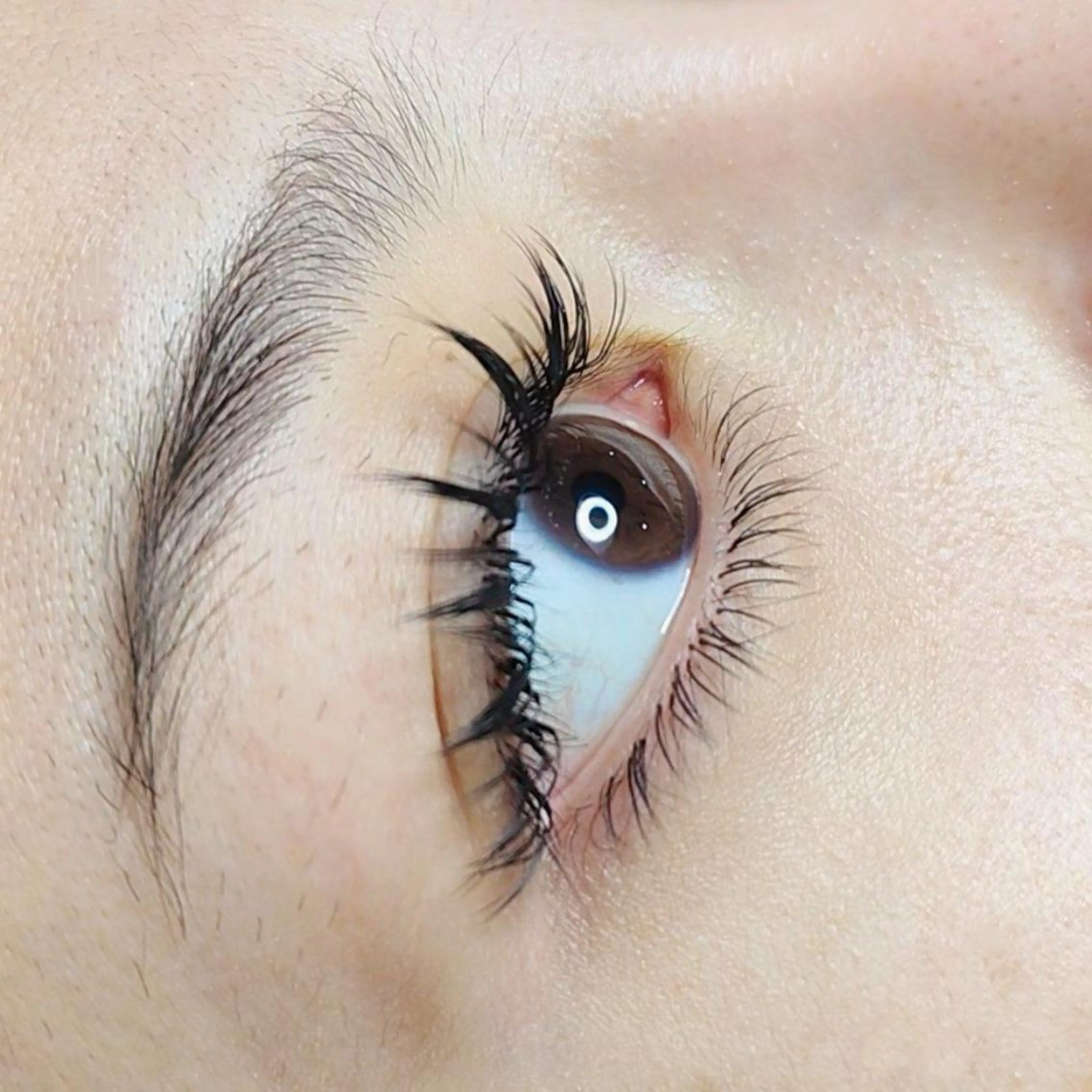 マツエク・マツパ 付け放題 束感まつ毛 韓国風マツエク 下まつげエクステ ワンホンマツエク Lash by foi新宿のマツエク・マツパデザイン