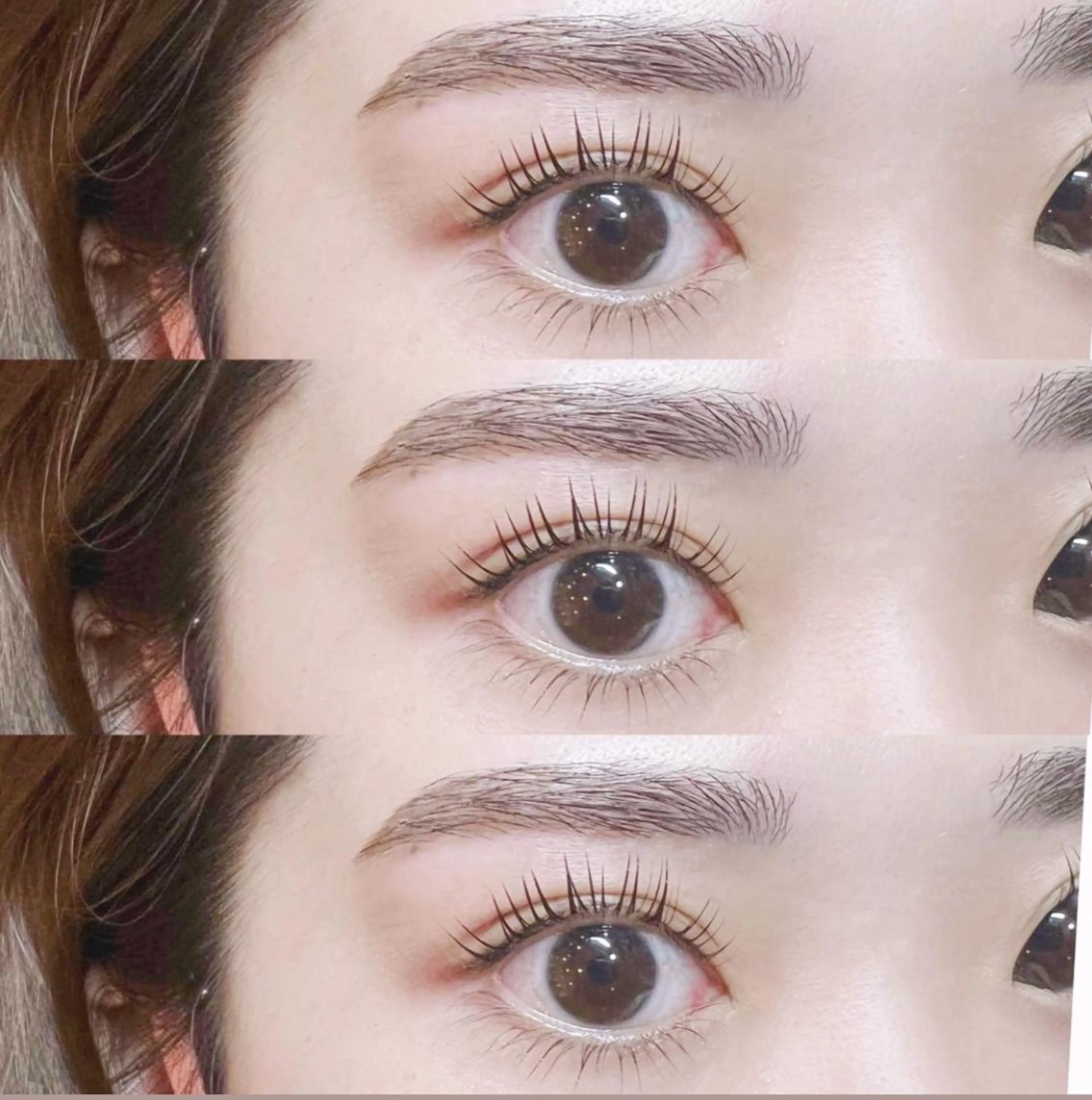 パリジェンヌラッシュリフト上下🌸新規¥7500❣️再来¥8500の写真