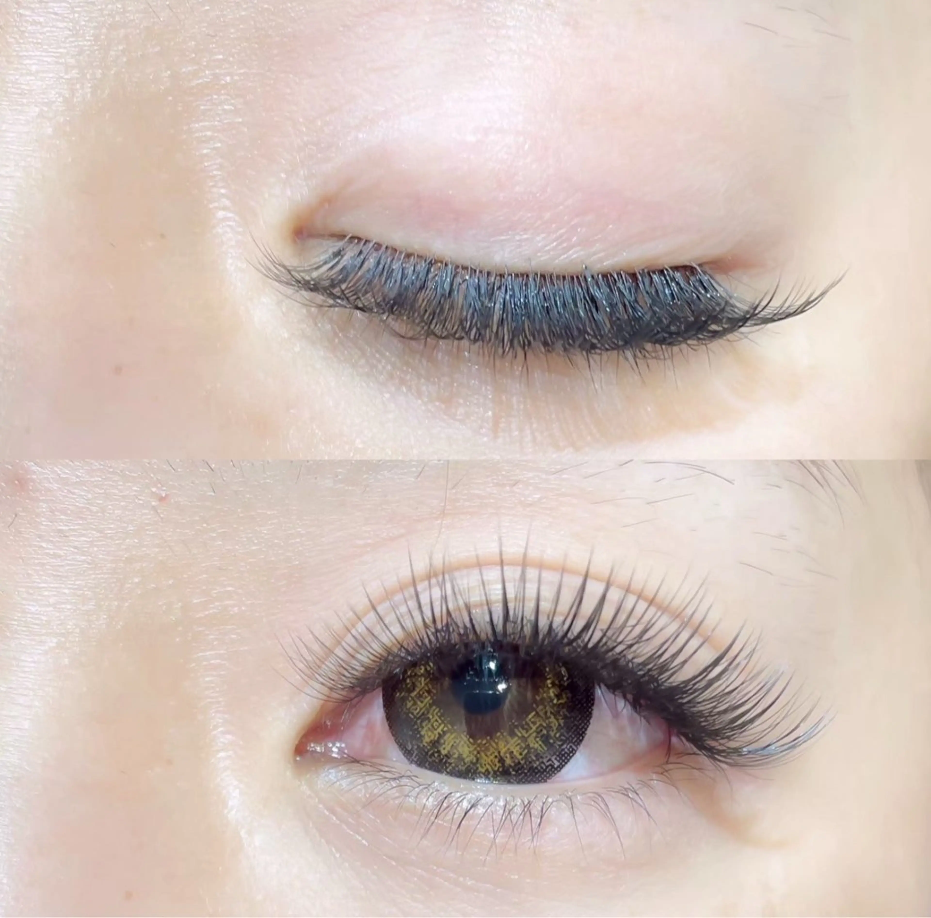 🩷バインドロック/上60束【オフなし】の写真