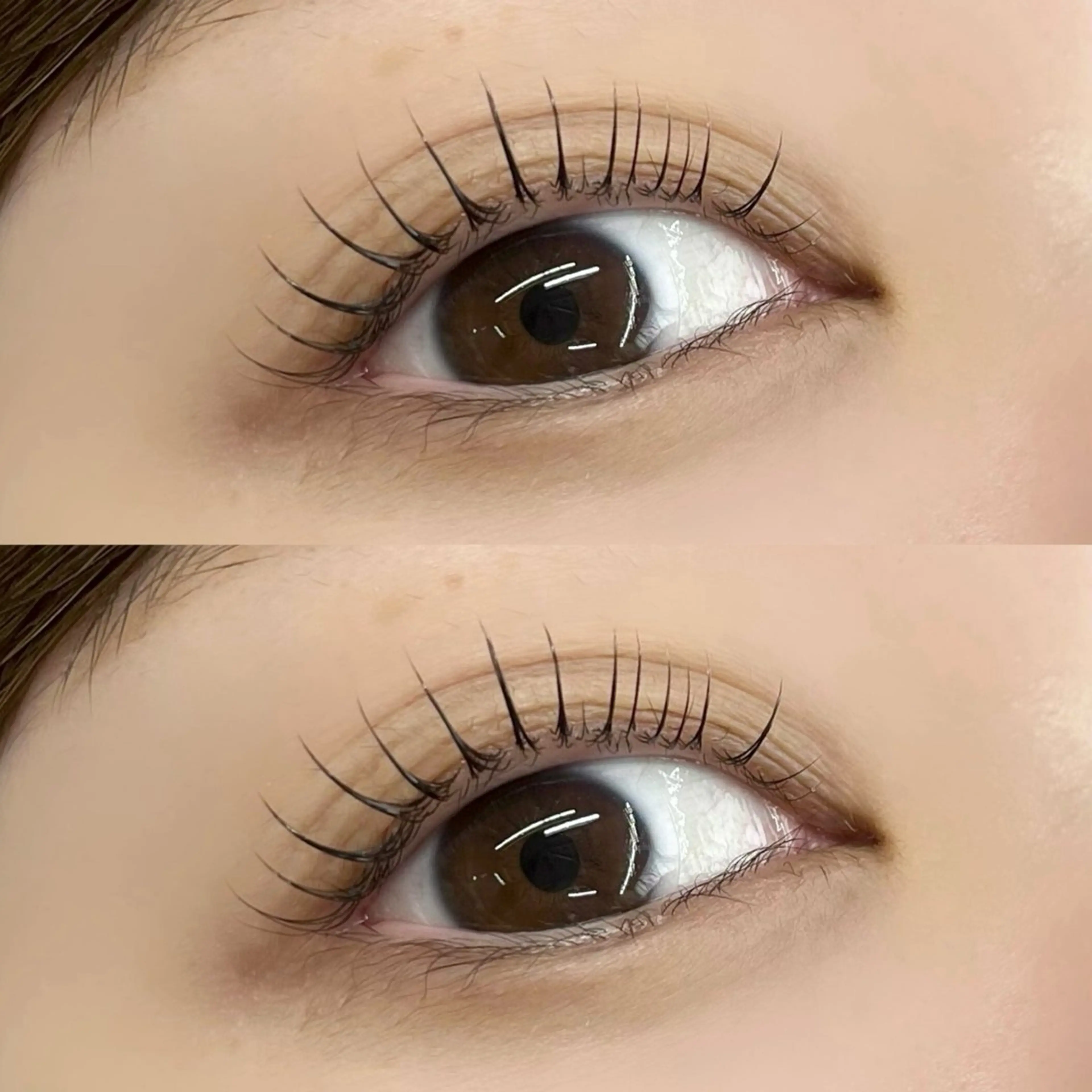 マツエク・マツパ マツパ 【LILY】伊沢/ バインド/パリ/エクのマツエク・マツパデザイン