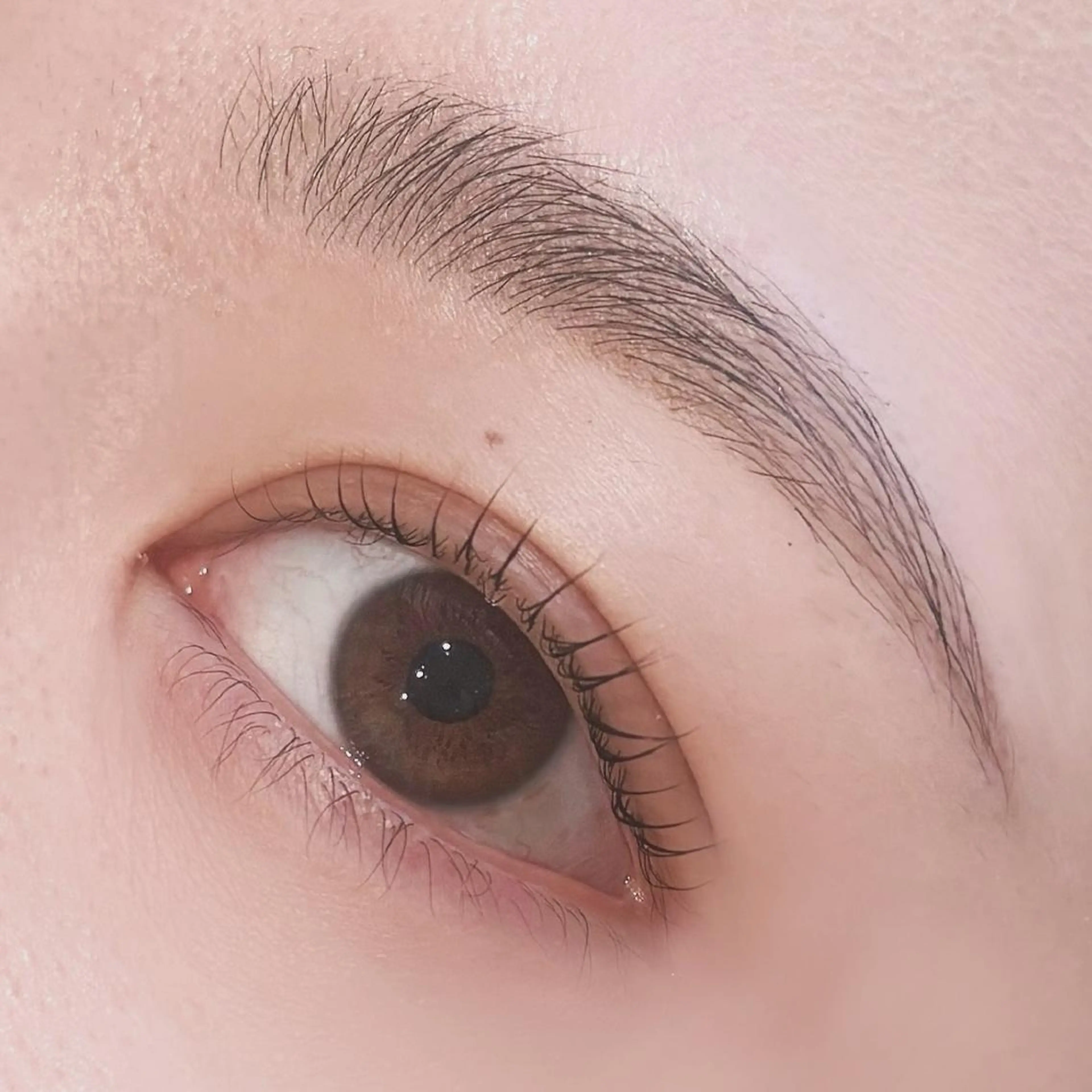 ♡18日まで♡Jr.アイリスト【眉毛＋まつげSET🎀】眉毛WAX（毛量調整こみ）＋まつげパーマの写真