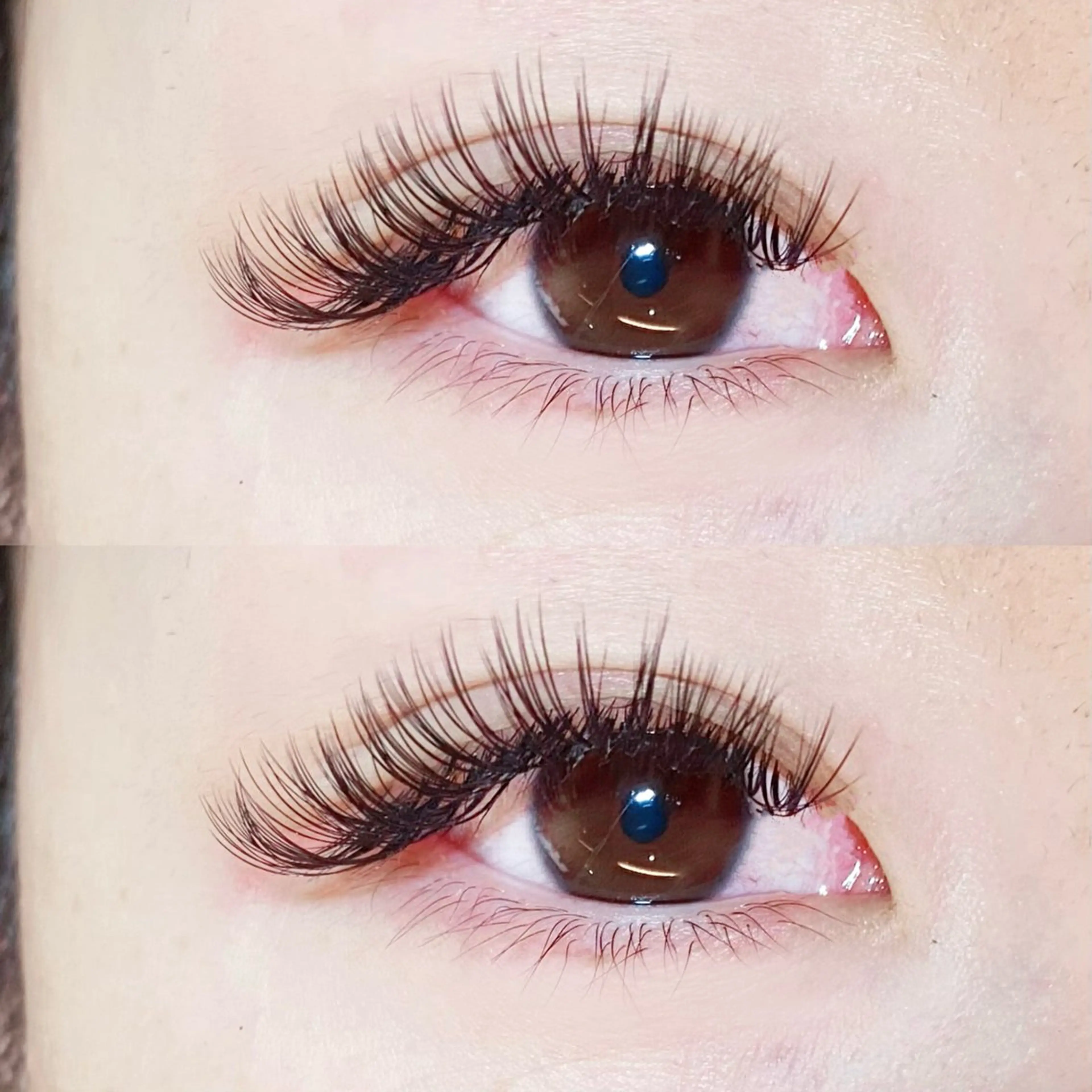 バインドロック120束の写真