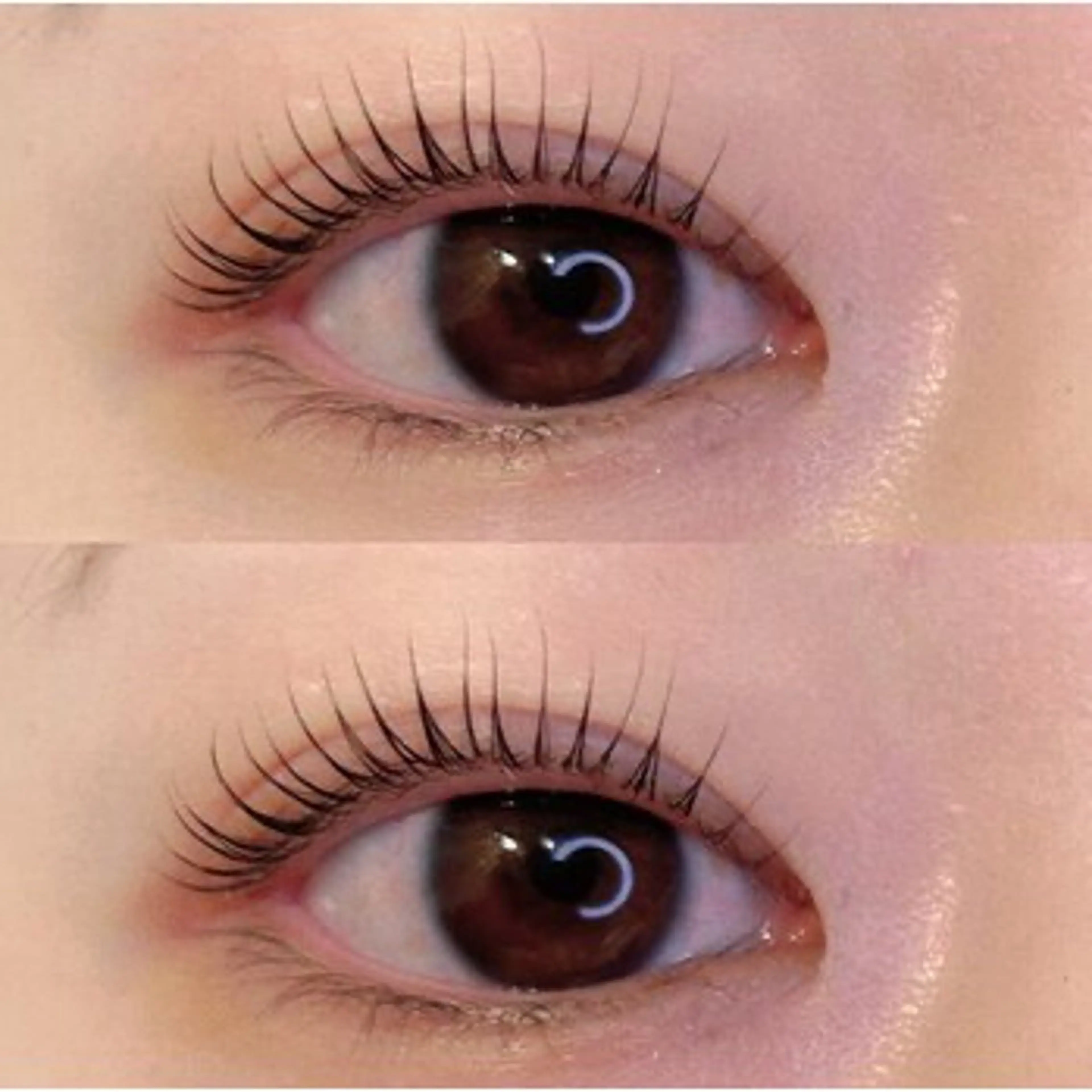 マツエク・マツパ マツパ mila/ユマ 🏰のマツエク・マツパデザイン