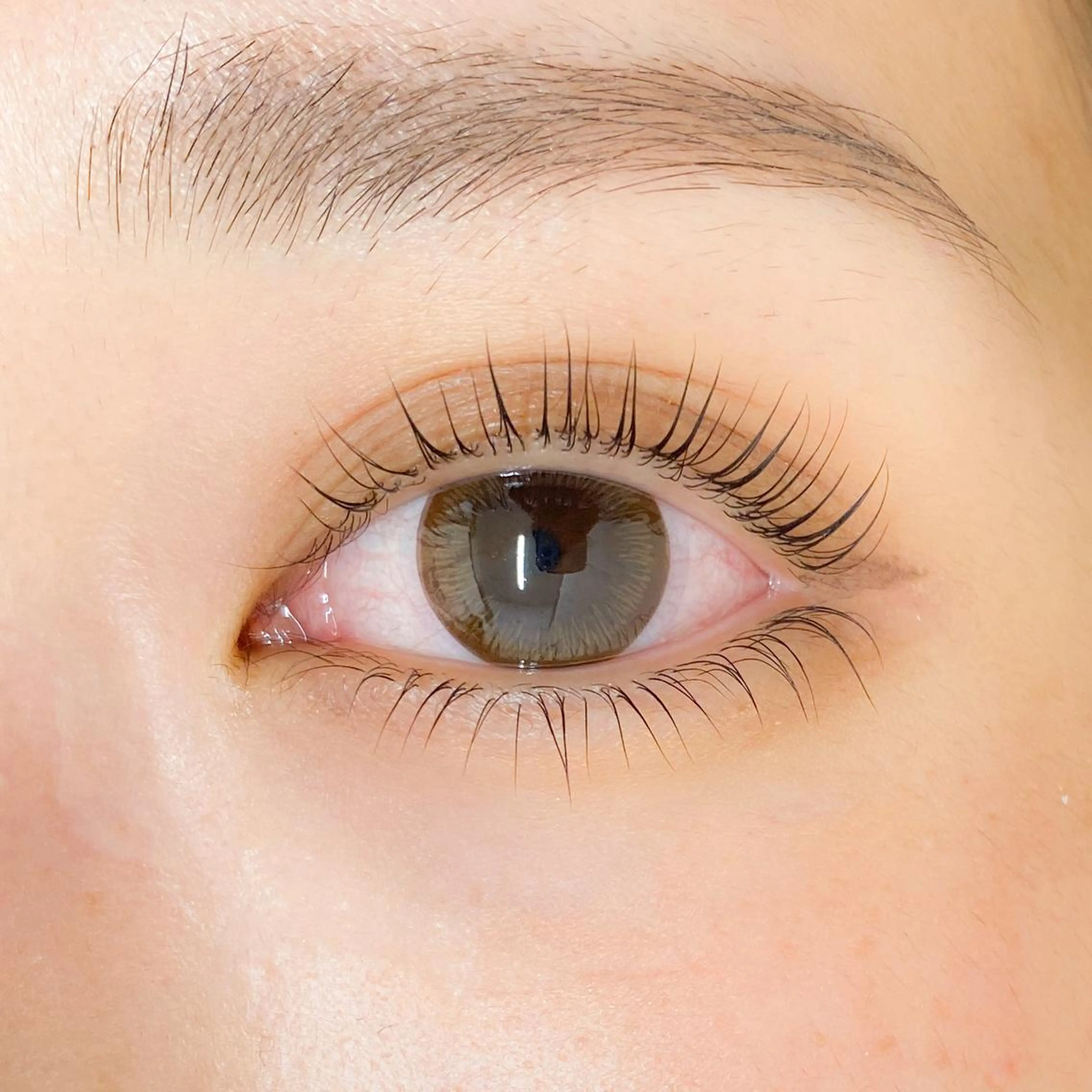 上下まつ毛パーマ🌿┊︎束感コーティング付🫧[土日祝＋500円] ※新規様or次回予約窓口のご案内がまだの方の写真