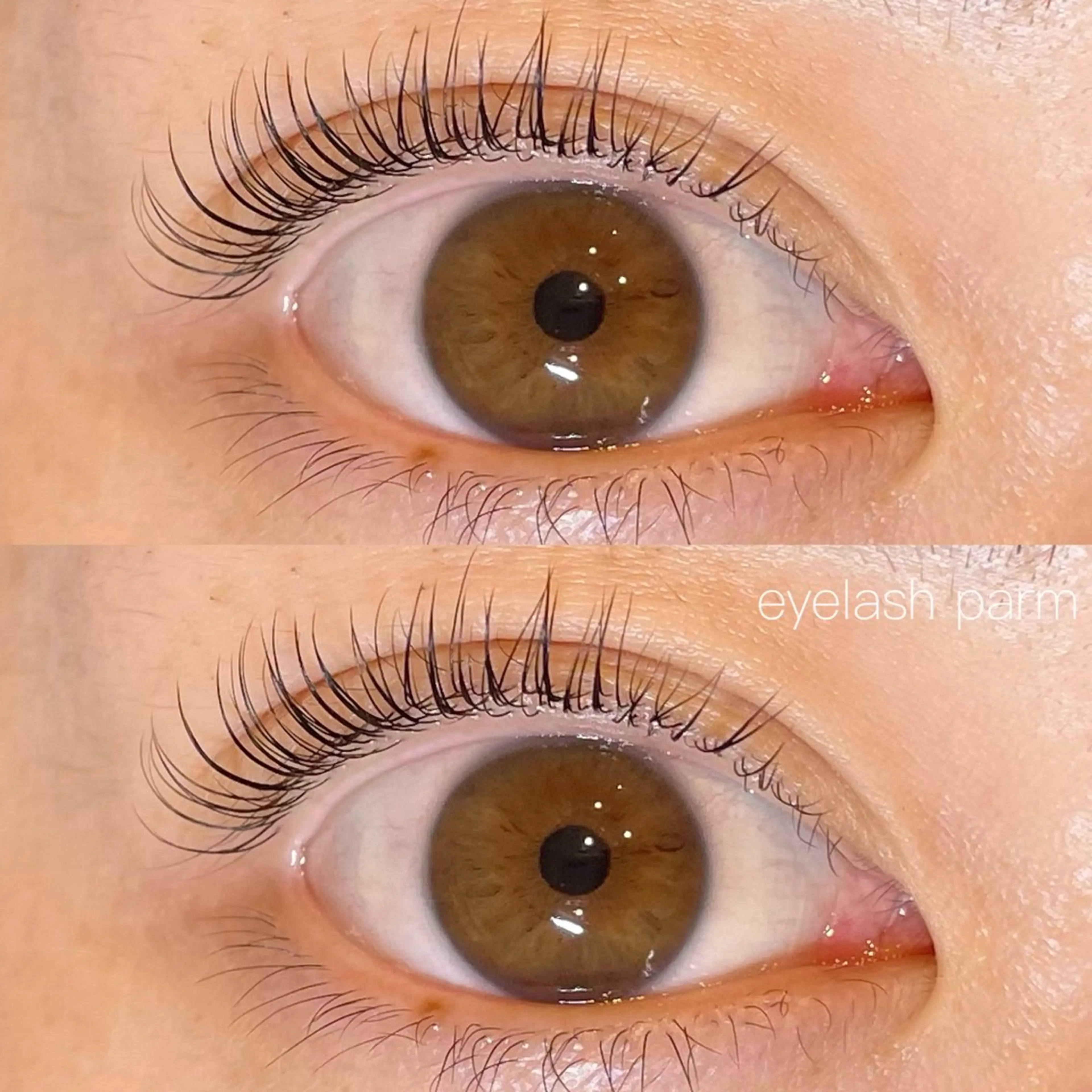 マツエク・マツパ sarah by  nicottのマツエク・マツパデザイン