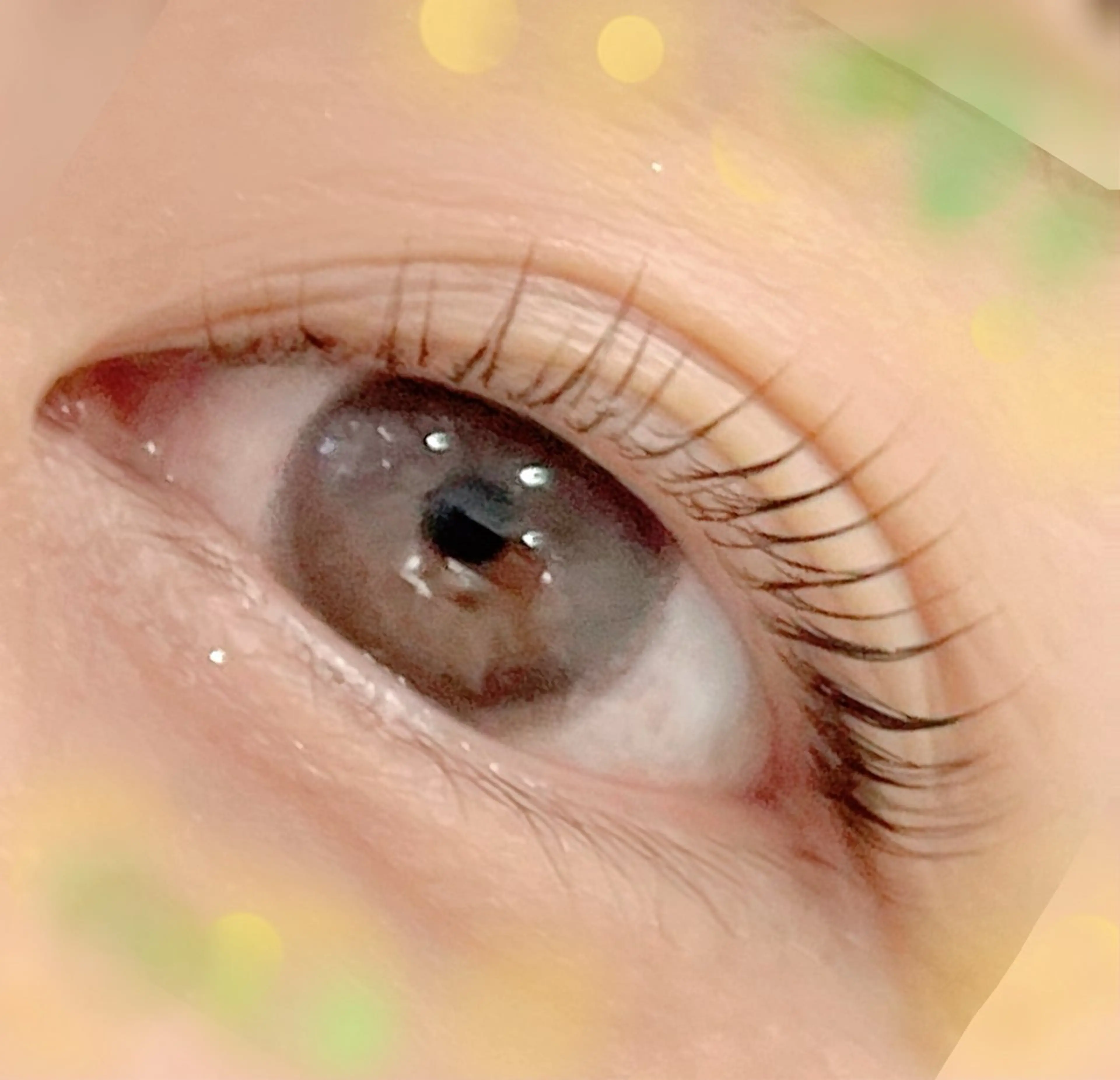 パーマ マツパ Grace タケシタのマツエク・マツパデザイン