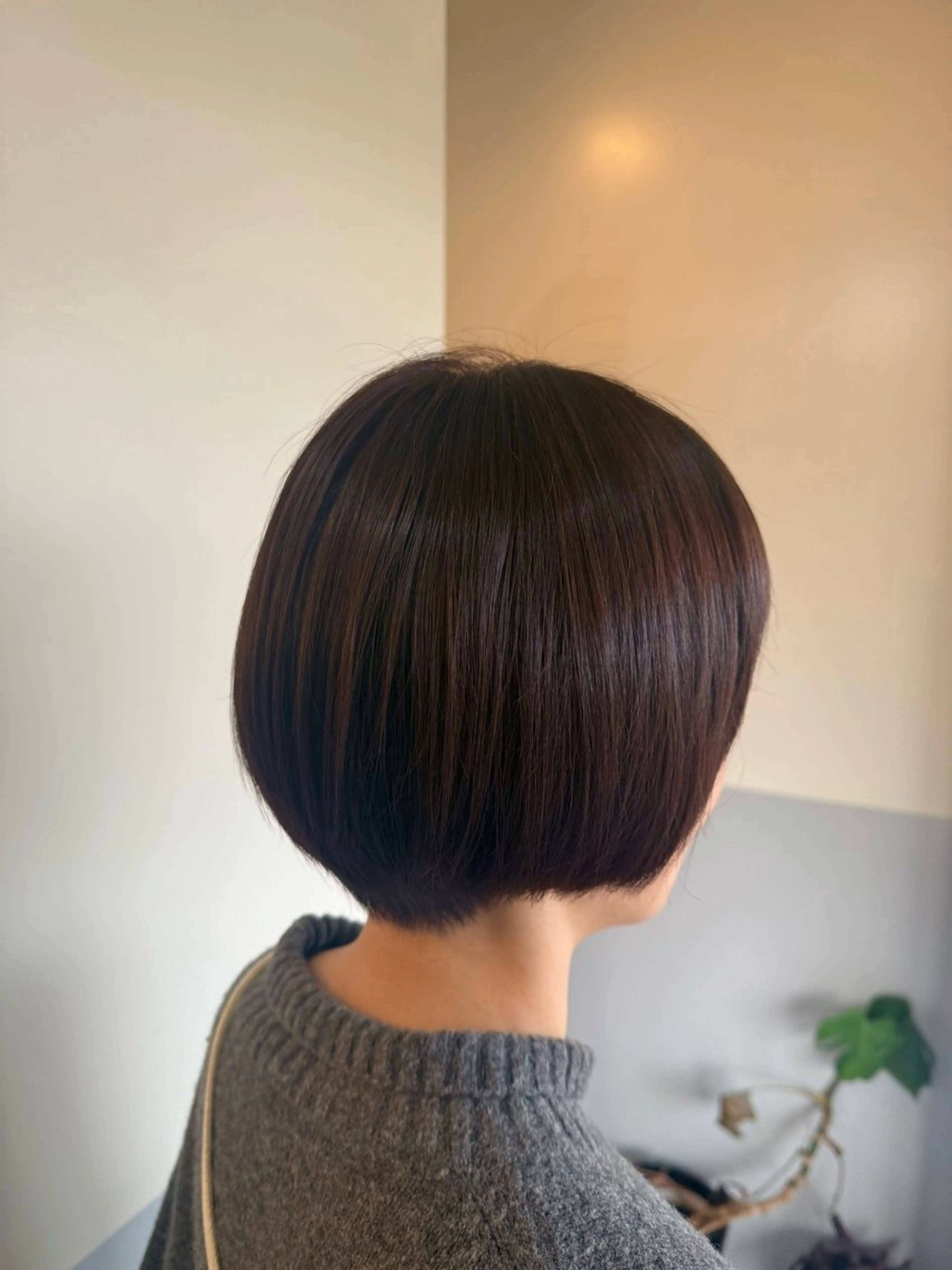 ショート カラー ブラウンカラー ショコラブラウン 透明感カラー ボブ ショートヘア ヘアカラー 平川 陸翔のヘアスタイル