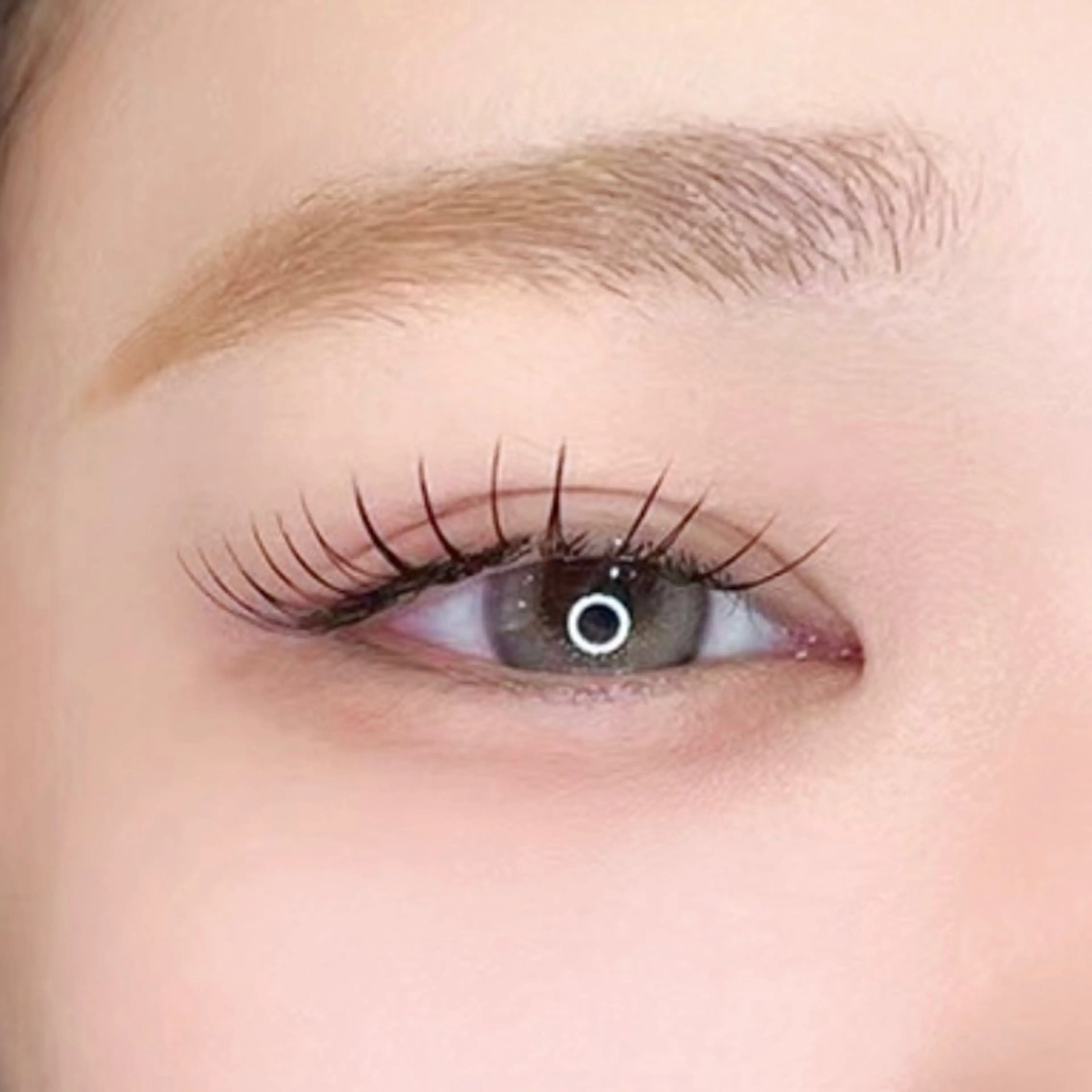 1番人気【パリジェンヌor次世代まつ毛パーマ】コーティング付き🎀の写真