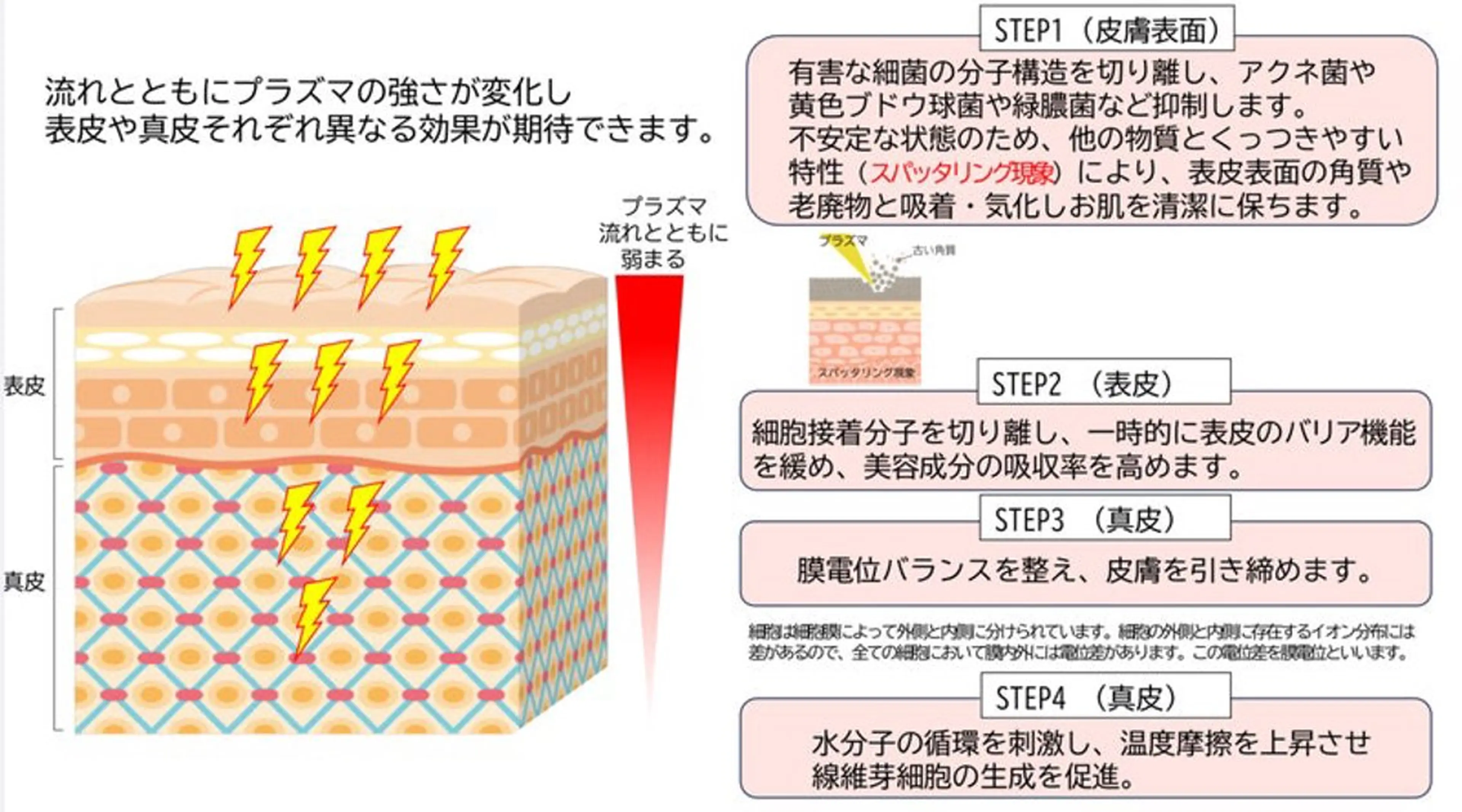 ヒト幹細胞プラズマ光フェイシャル +α不死化ヒト歯髄幹細胞順化培養上層液の写真
