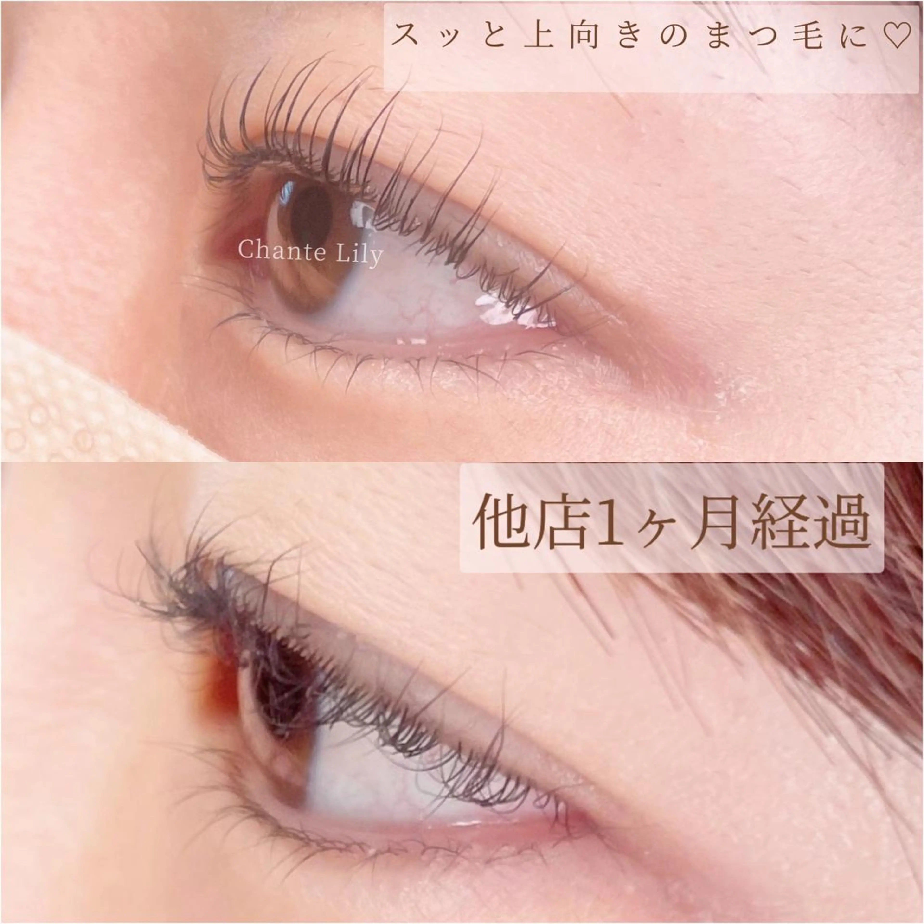 マツエク・マツパ Cカール 一重×まつ毛パーマ Chante Lily所属・森崎 麗のマツエク・マツパデザイン