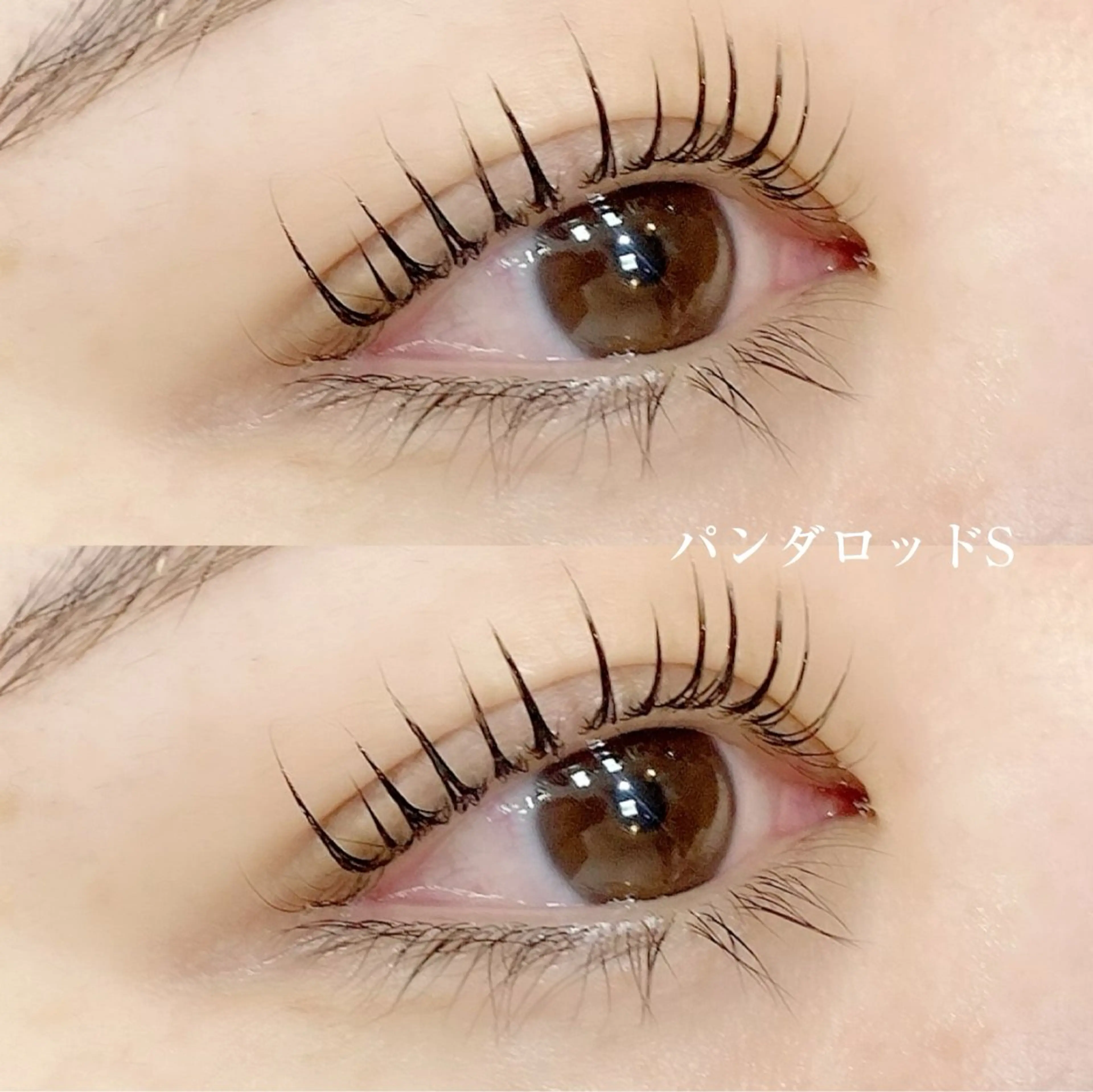 マツエク・マツパ アルターエクラ 飯島のマツエク・マツパデザイン