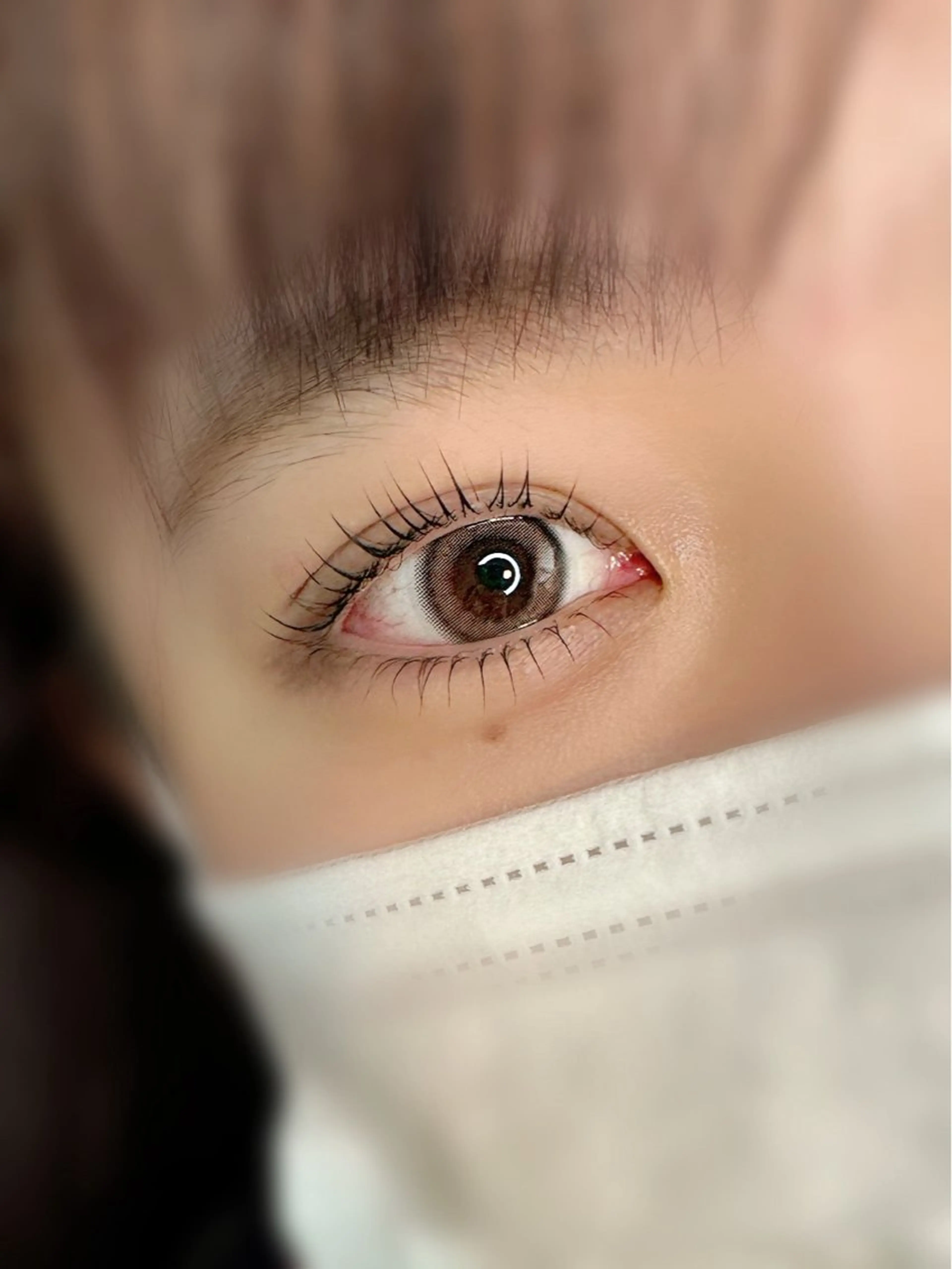 オーダーメイドラッシュリフト上下/まつ毛パーマ🕊⟡.·*.(マツエクオフなし)の写真