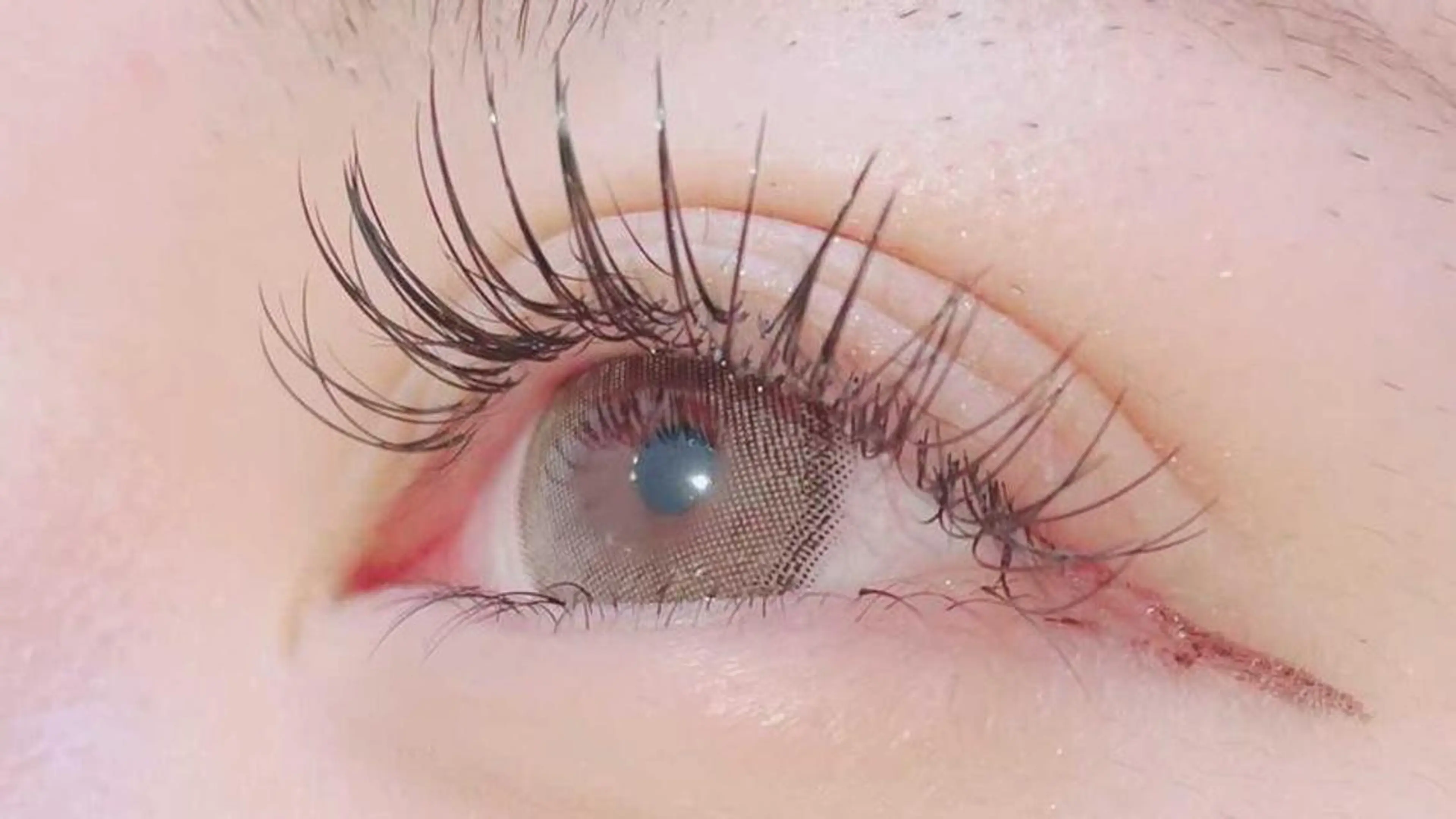 濃く見せたい方必見🦋カシミヤセーブル140本まで付け放題🌟オフ&美容成分入りコーティング付きの写真