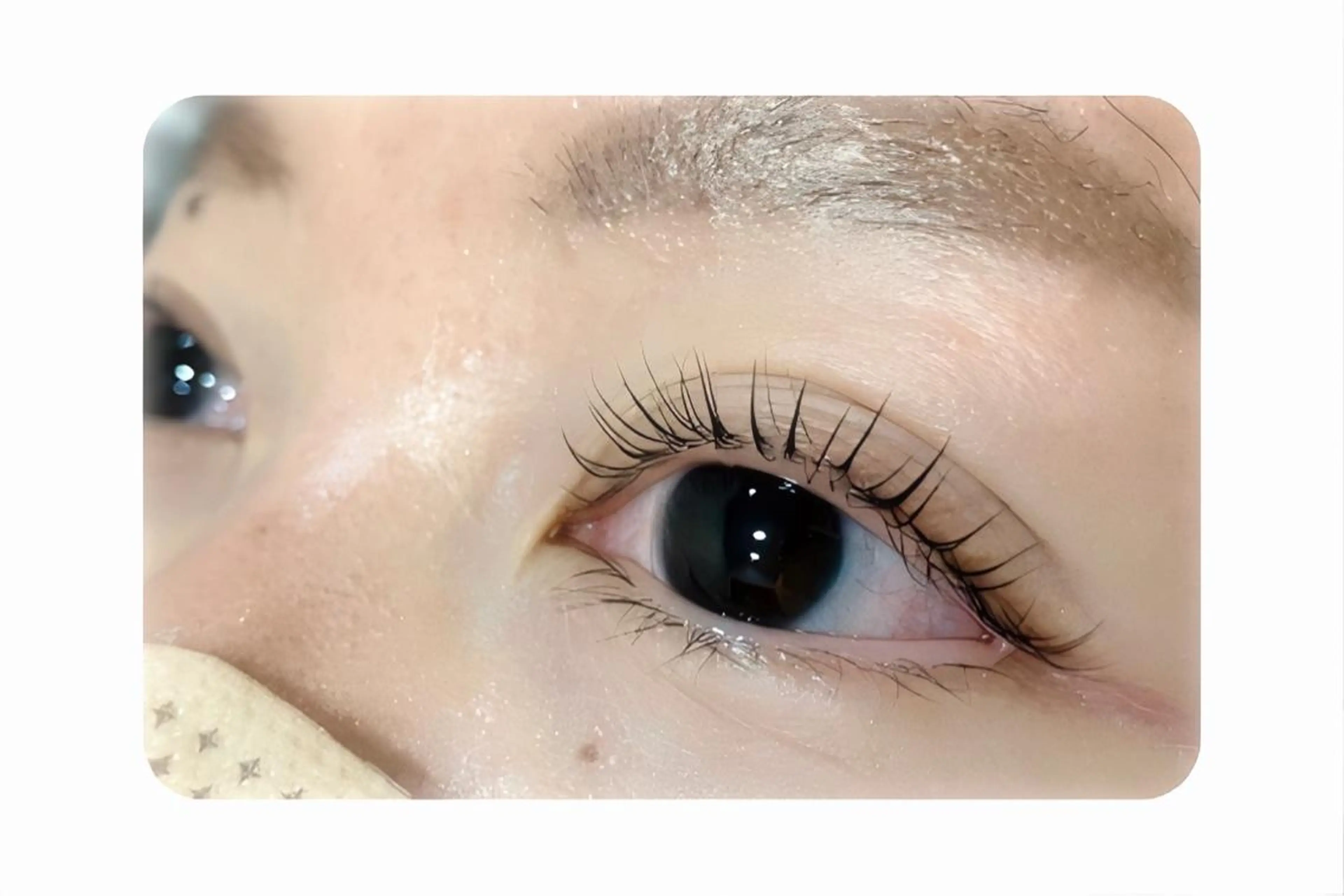 マツエク・マツパ Gluttony/ ｸﾞﾗﾄﾆｰ＊ユキのマツエク・マツパデザイン