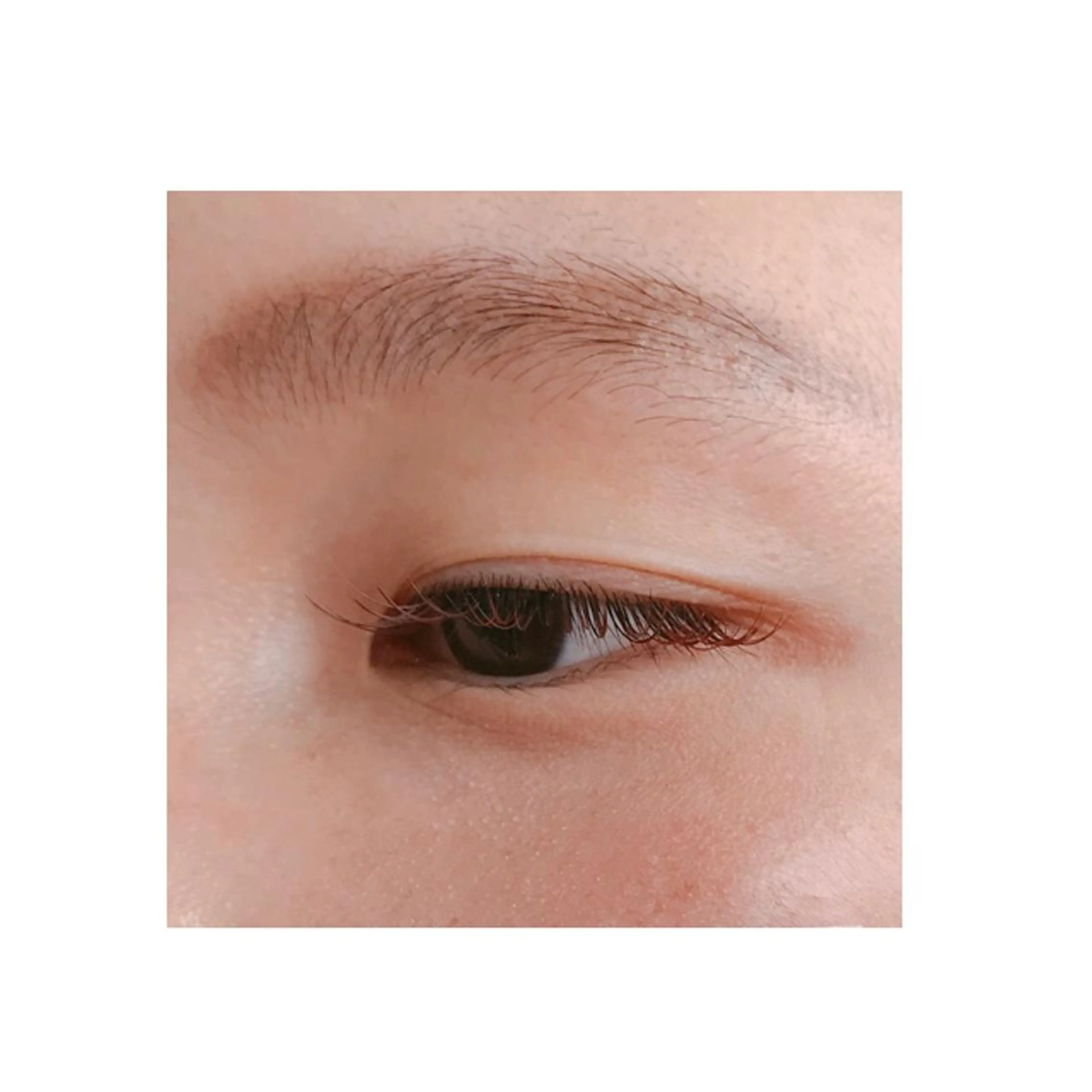 マツエク・マツパ CANVAS beauty salon所属・CANVAS YUUKAの眉毛・アイブロウイメージ