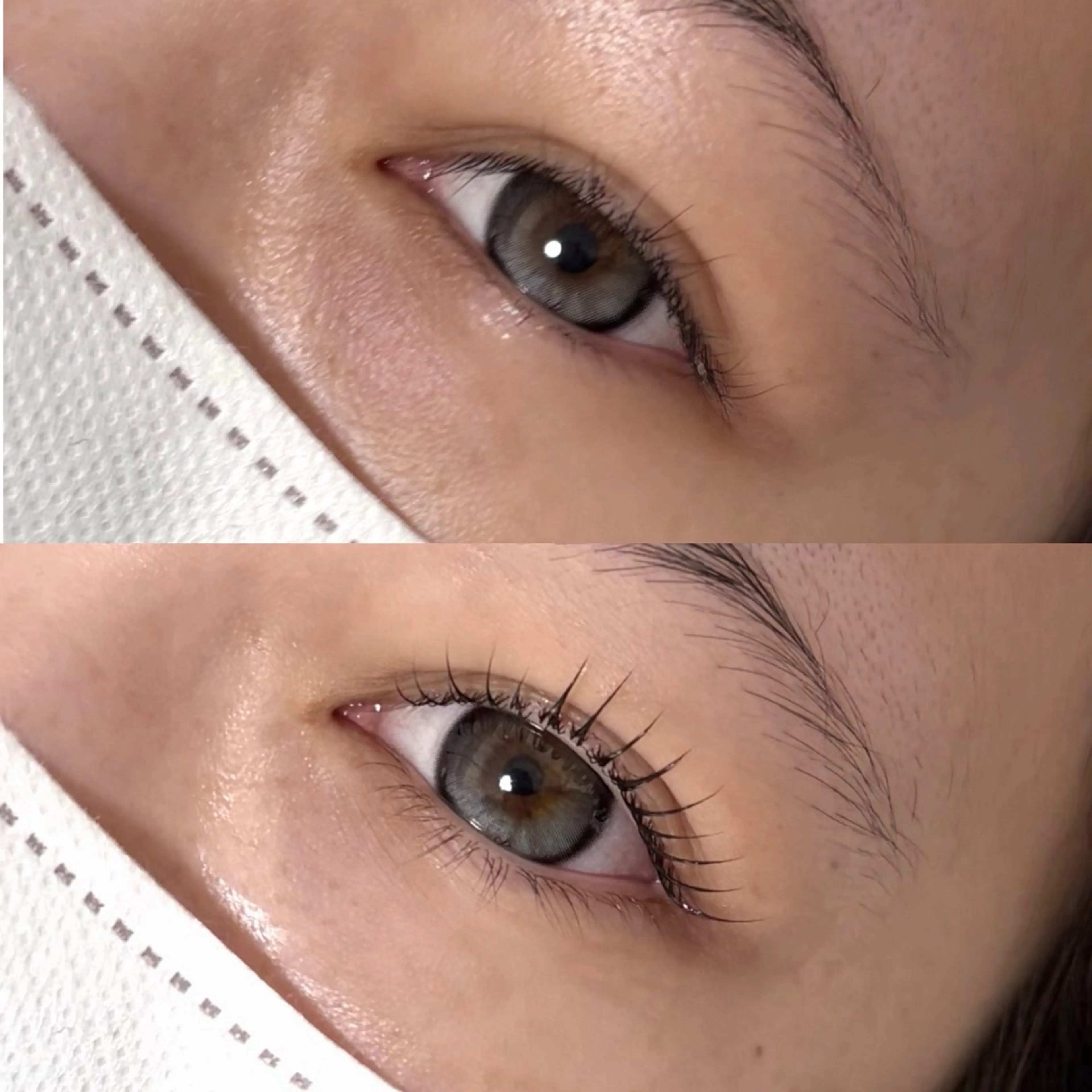 韓国式🇰🇷まつ毛パーマ☘️の写真