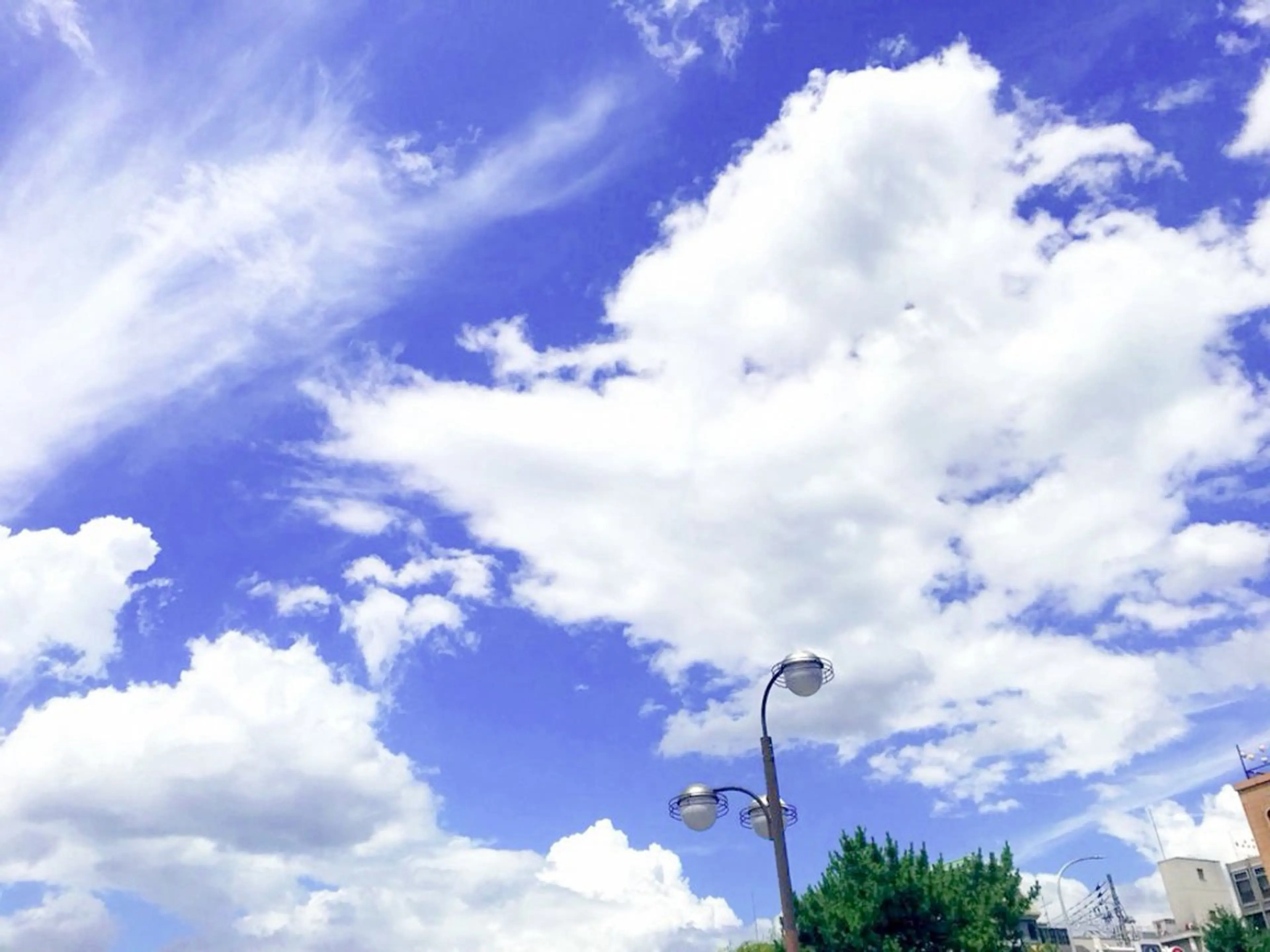 高田馬場店 /ゆづのヘアスタイル