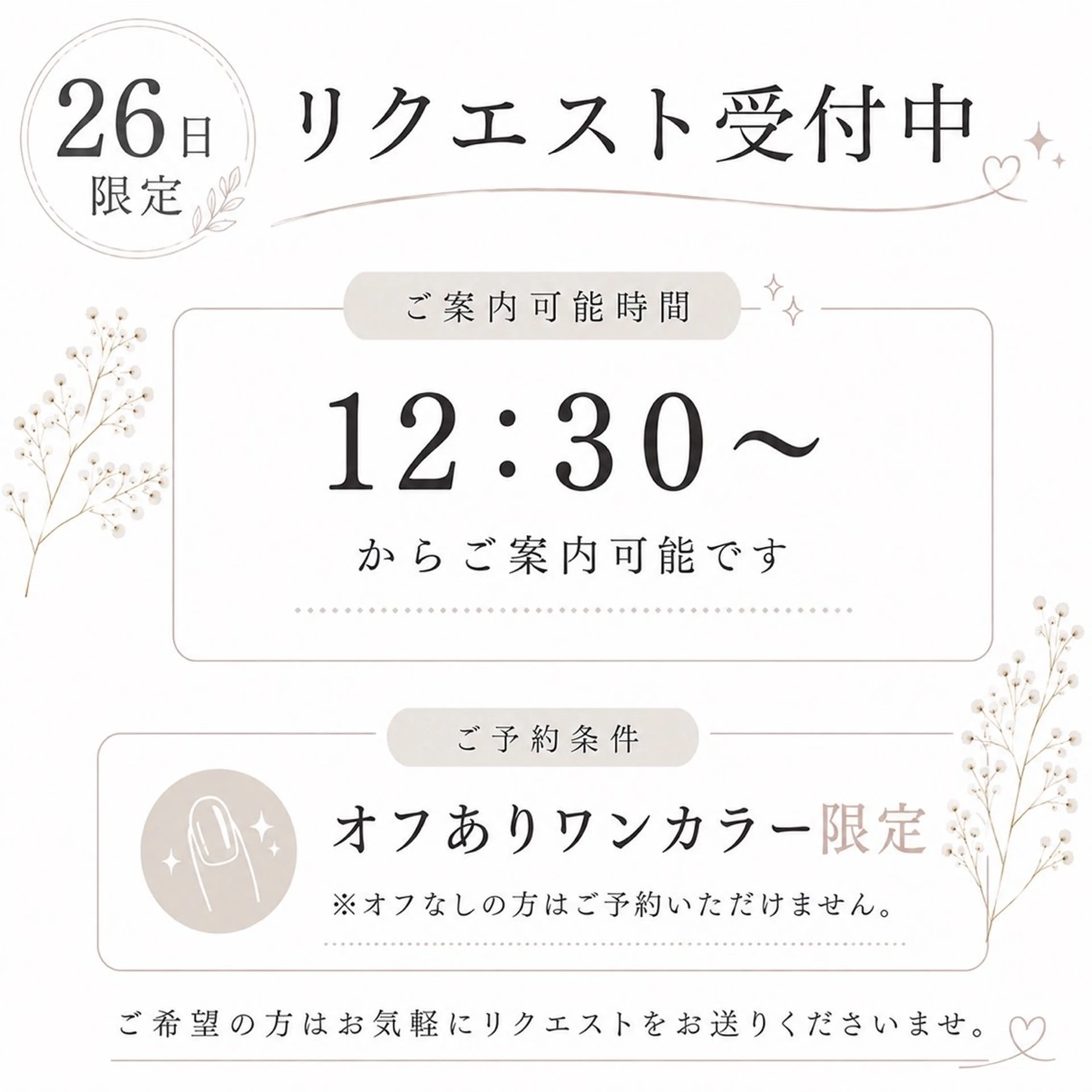 オフありワンカラーのみ‼️26日12時30分からのみ‼️の写真