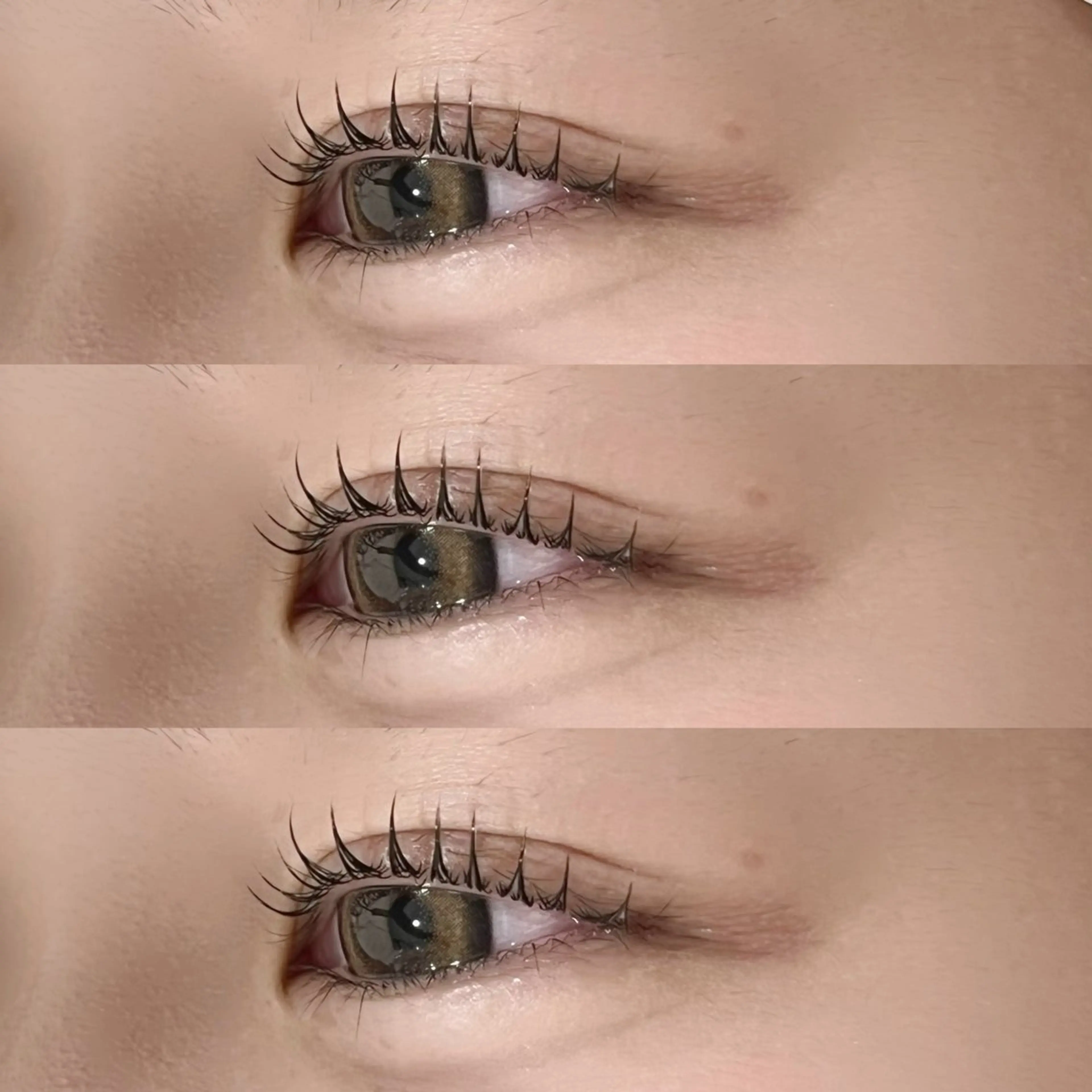 【長持ち重視🌟】🤎まつ毛パーマ(パリジェンヌ可)+アイシャンプー&トリートメント付き🤎の写真