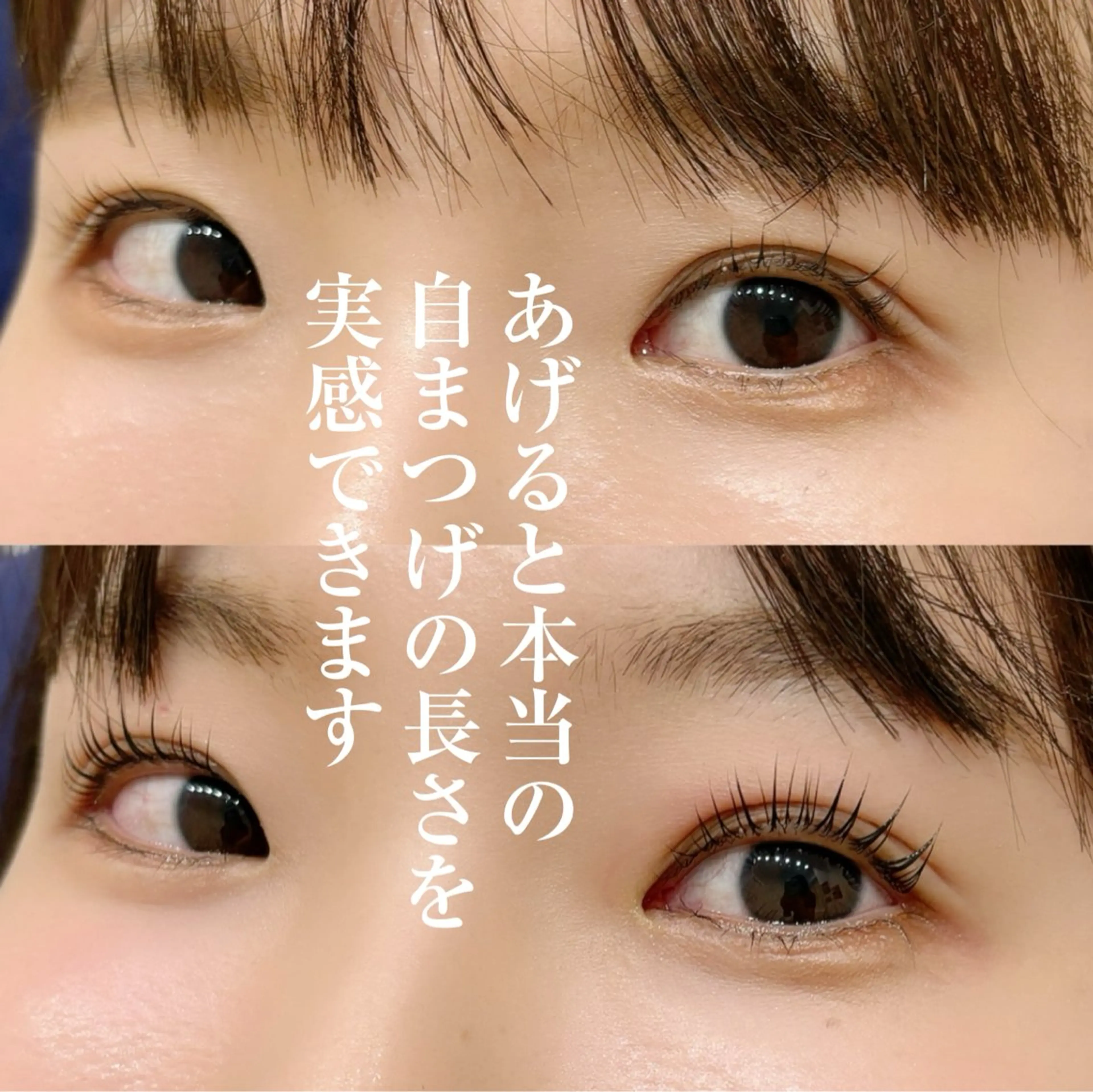 マツエク・マツパ WHITE EYE 錦糸町店🩵倉野🩵のマツエク・マツパデザイン