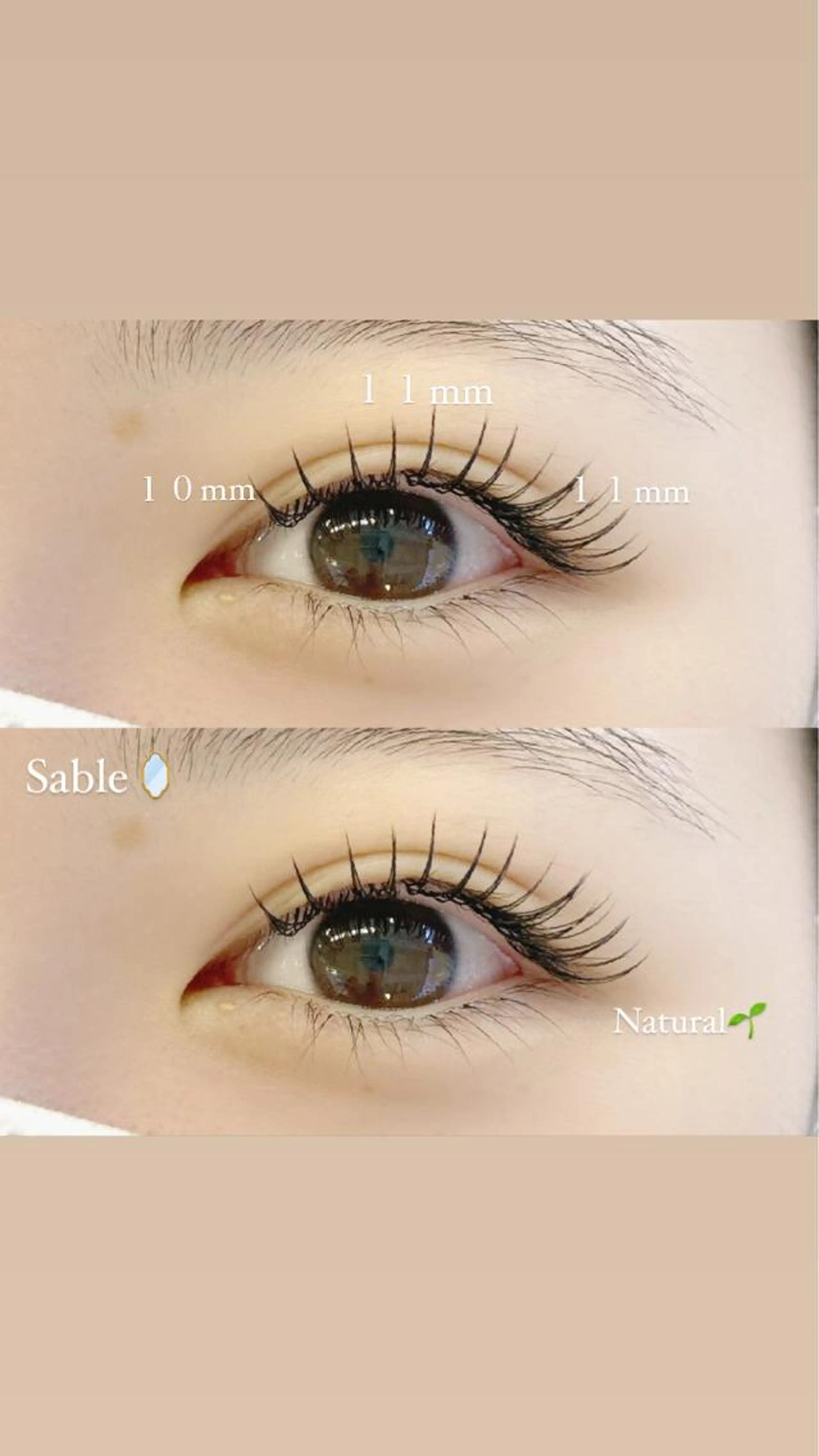 ✨️毛質選択自由✨️ミンクorセーブル 100本の写真